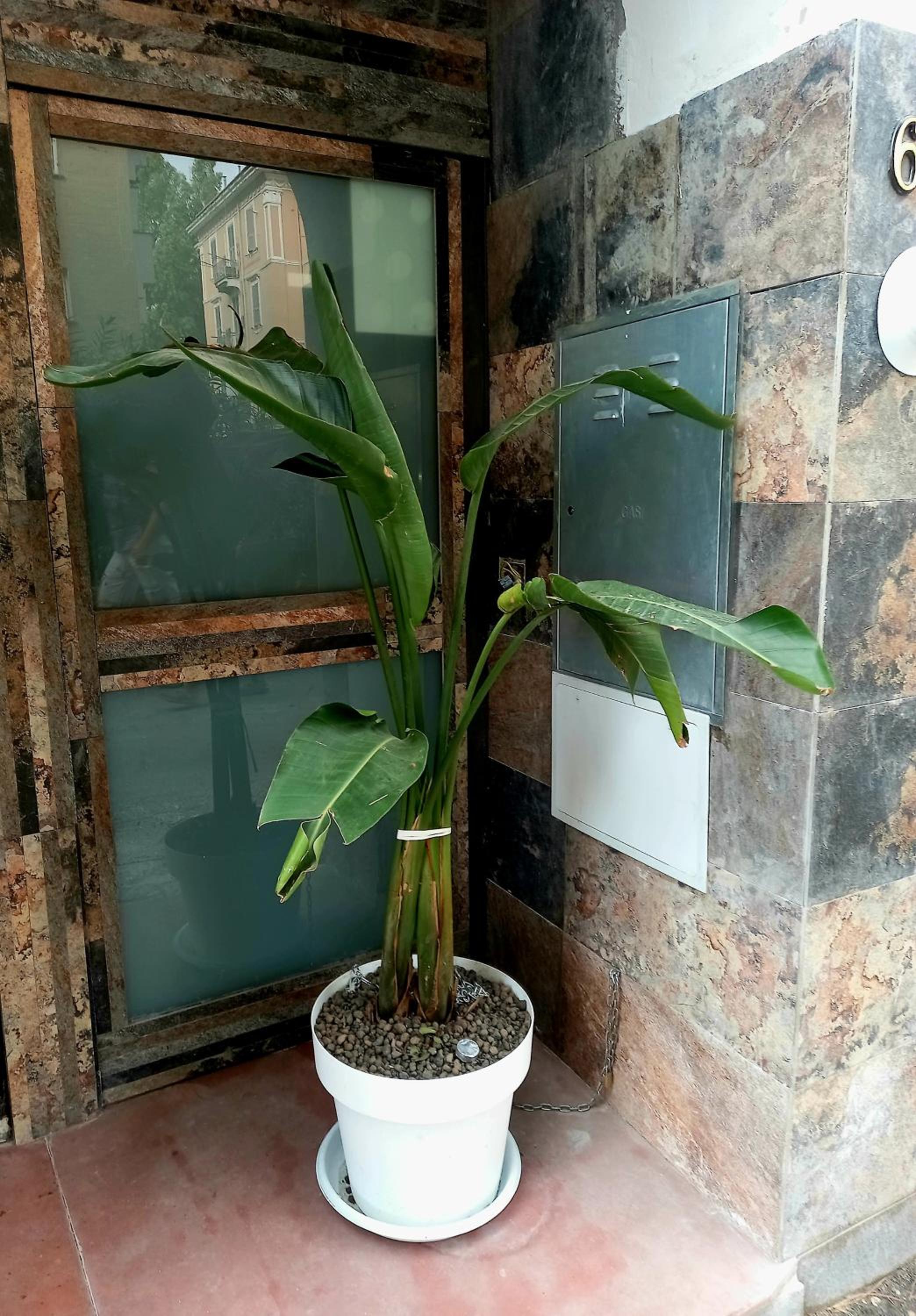 Photo 64