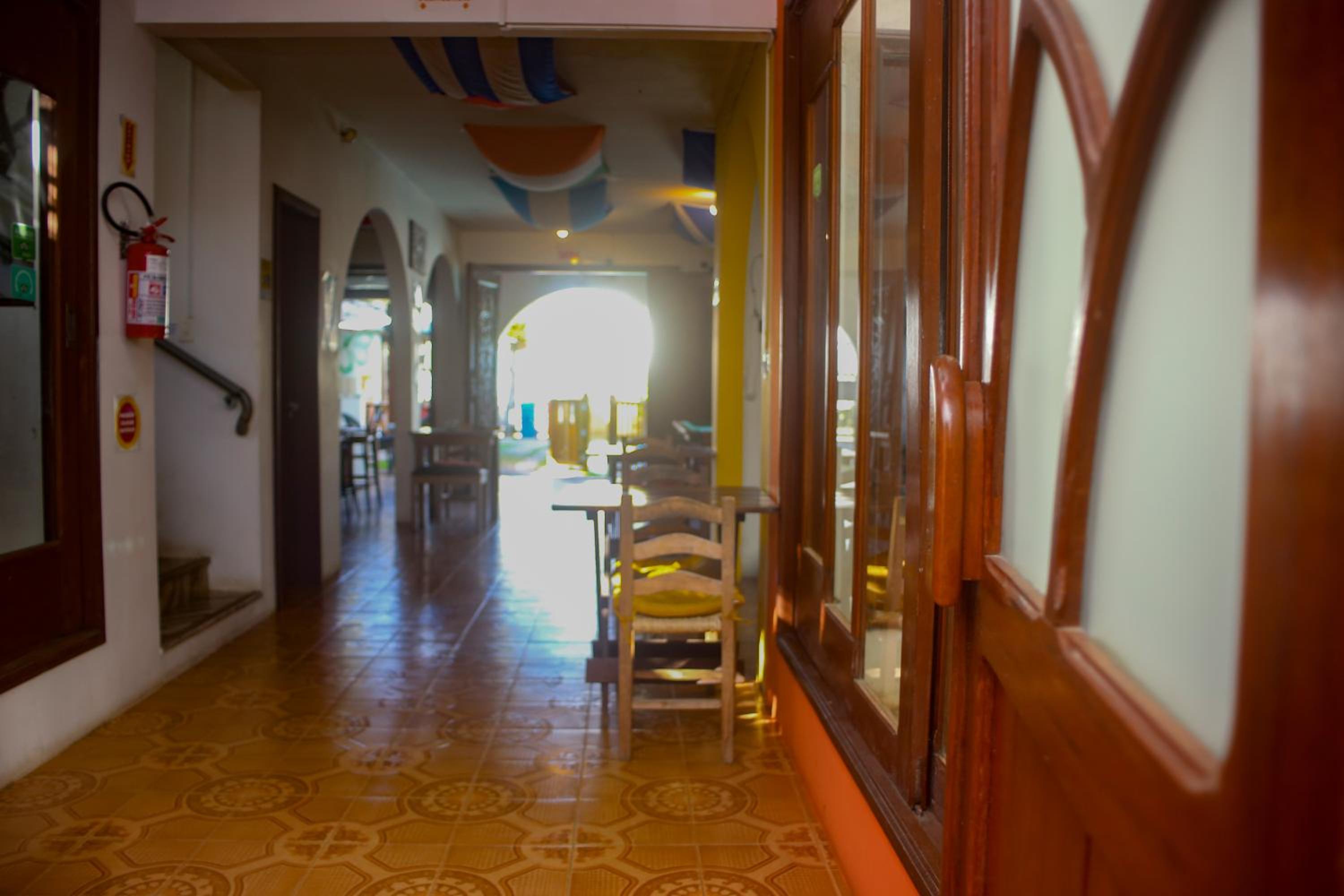 Geckos Hostel