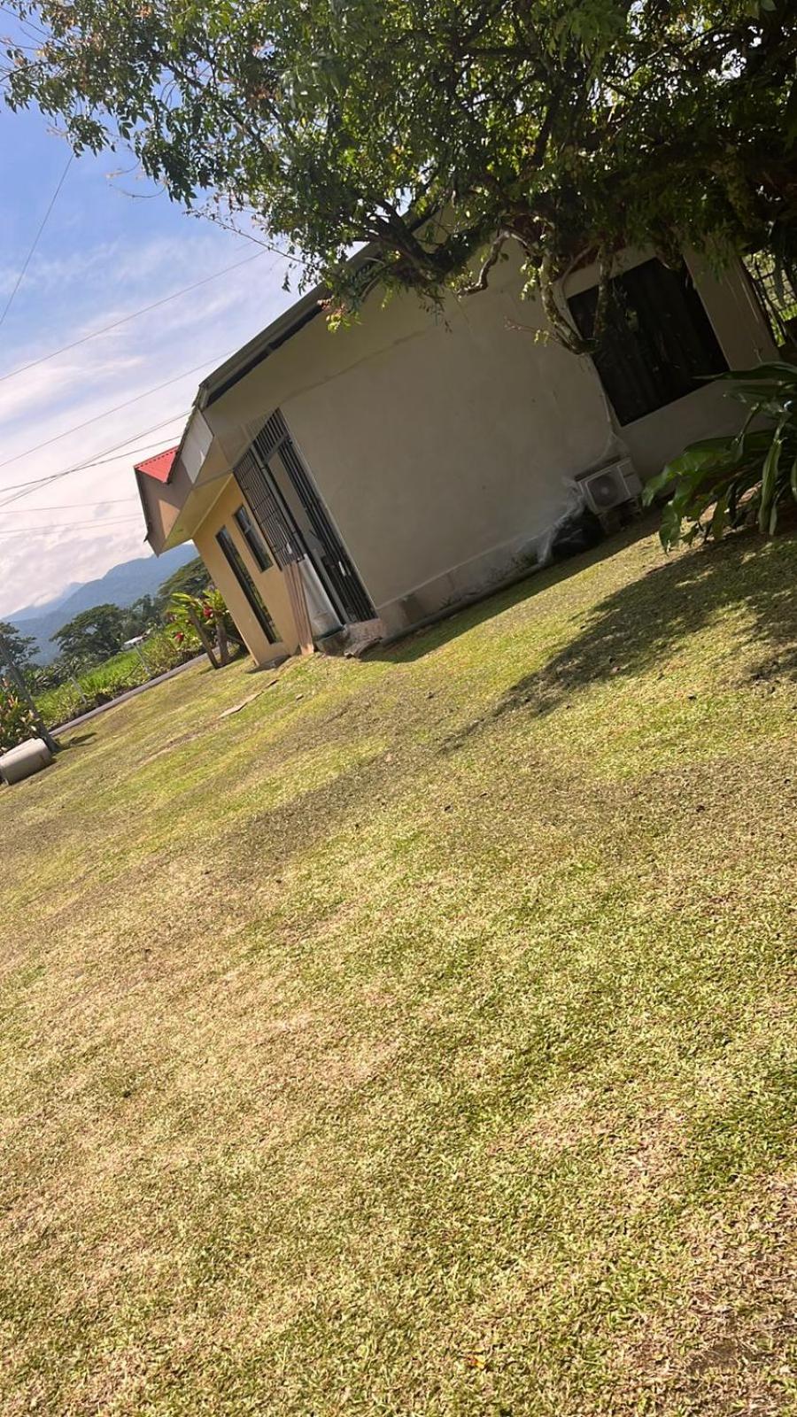 colacho's House