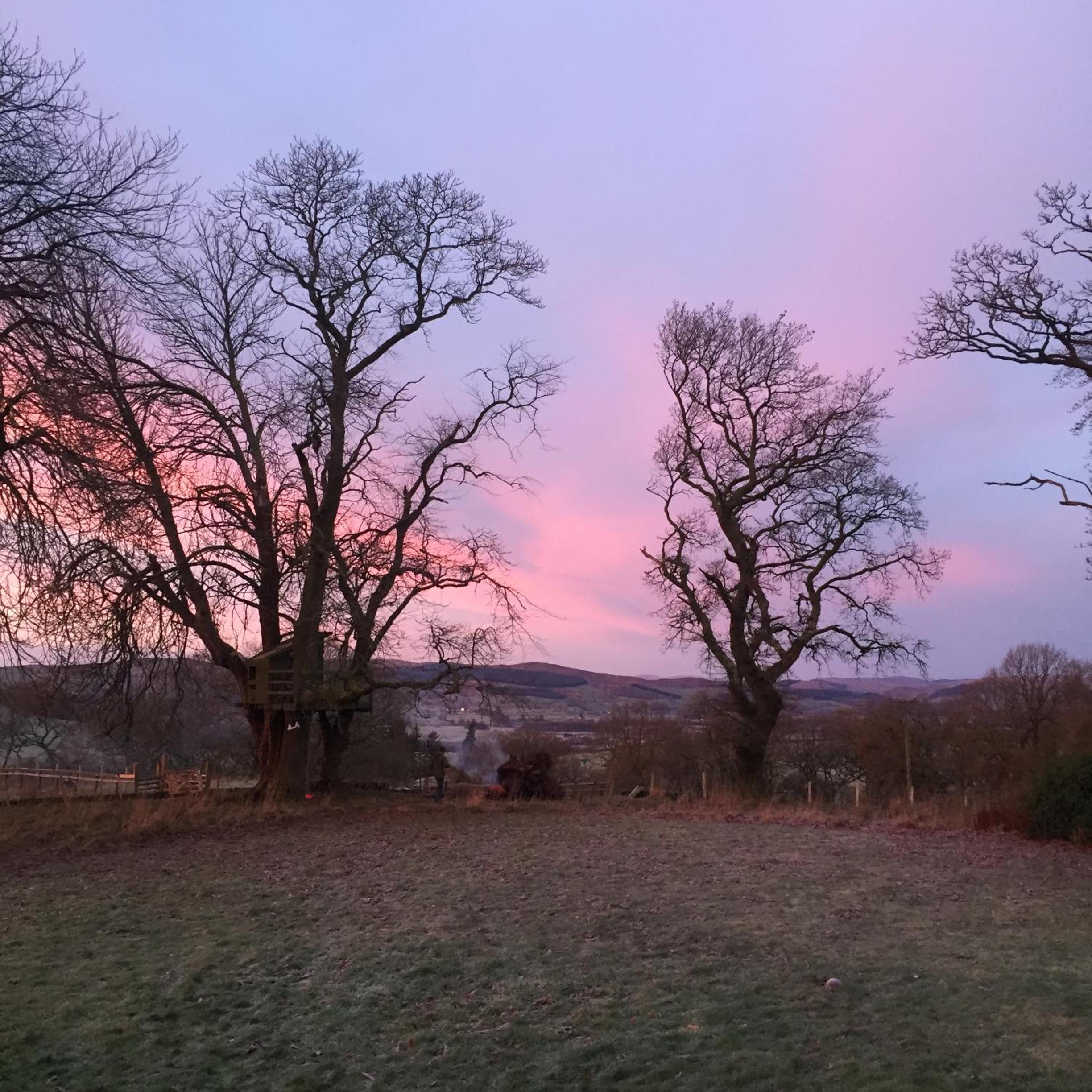 Willow Cottage, Gilchristland Organic Farm