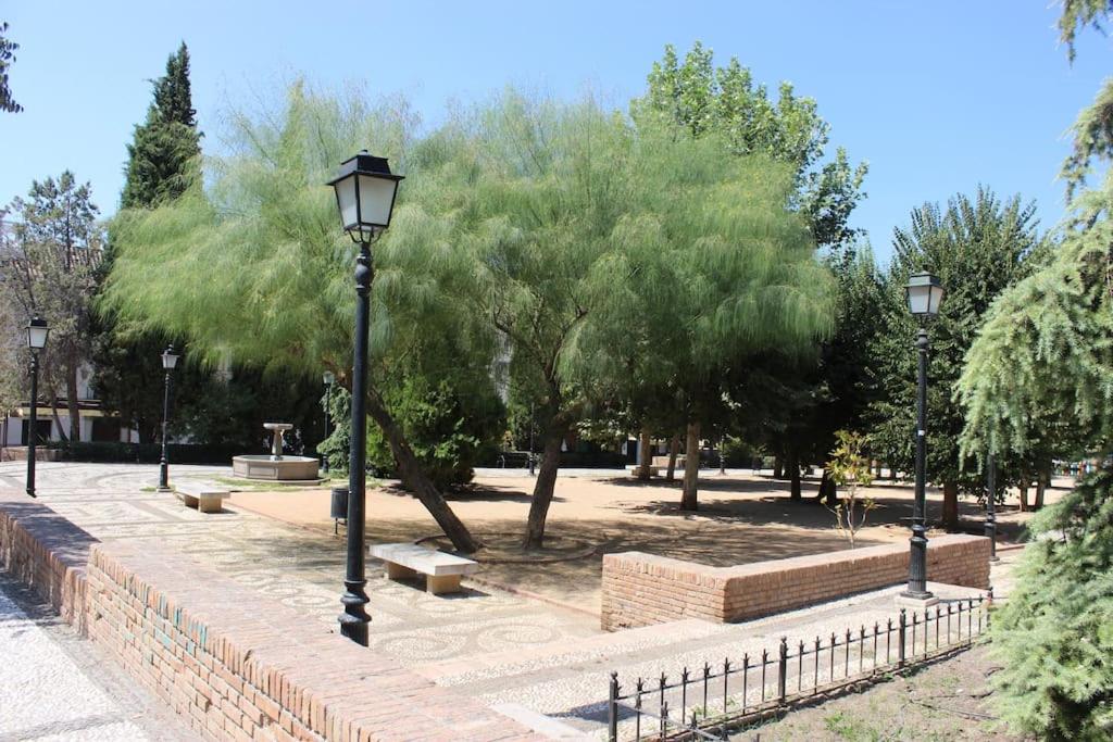 Central, near the Alhambra, quiet and autentic! view 4