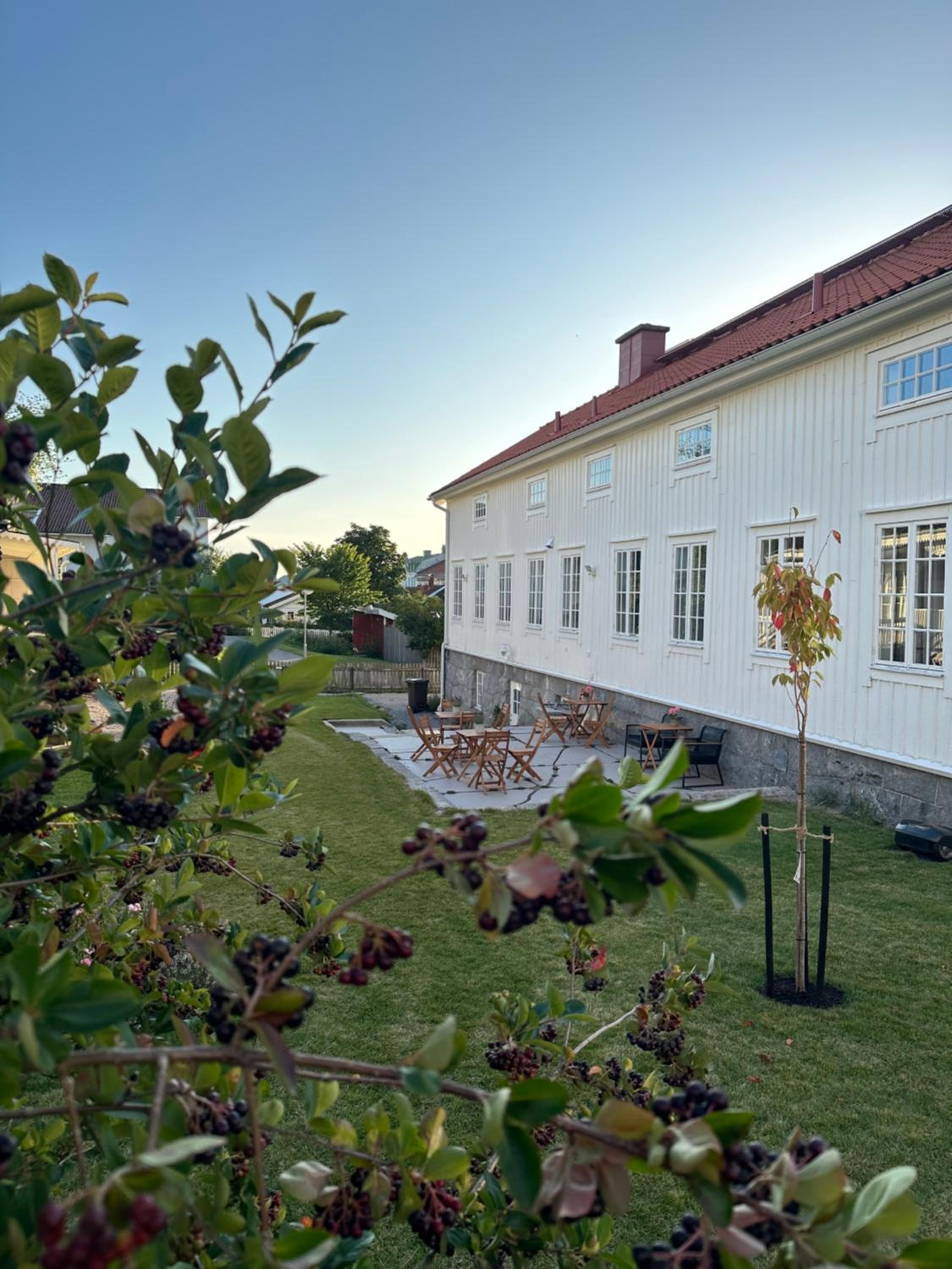 Photo 23