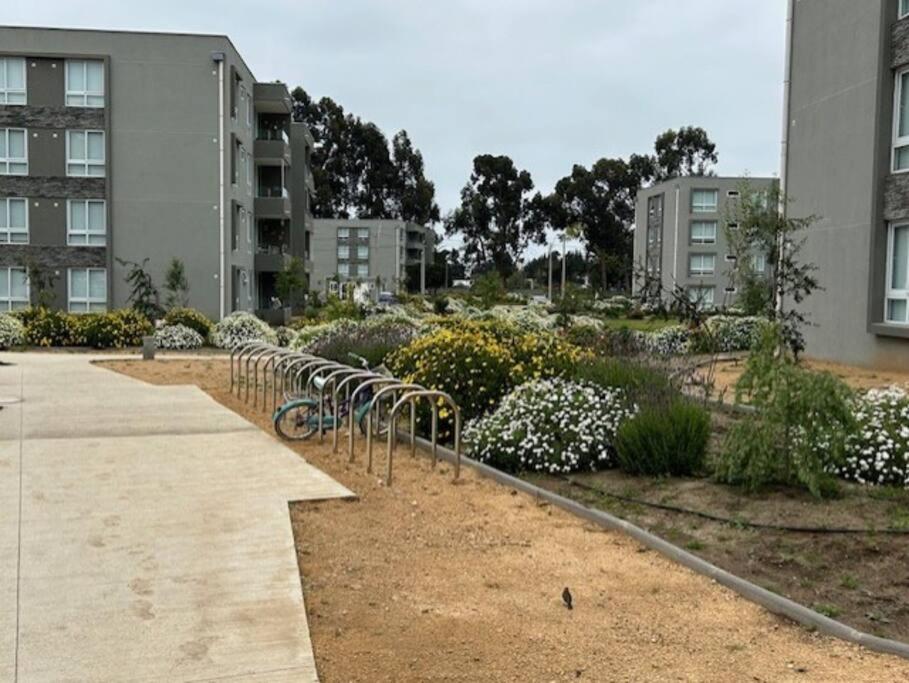 Dpto en sector Punta Puyai.