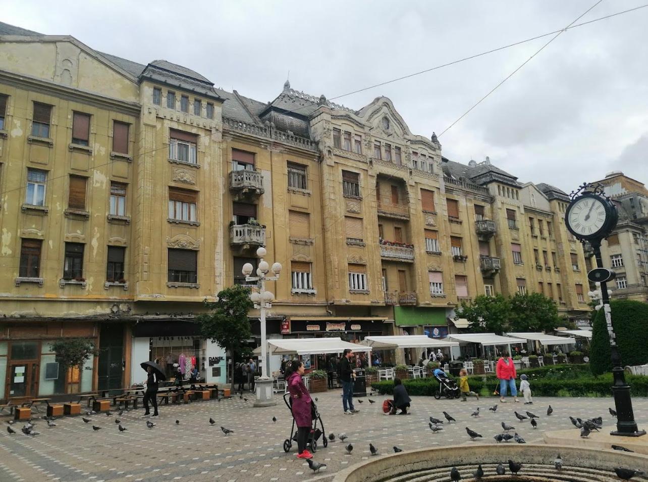Premium Timisoara