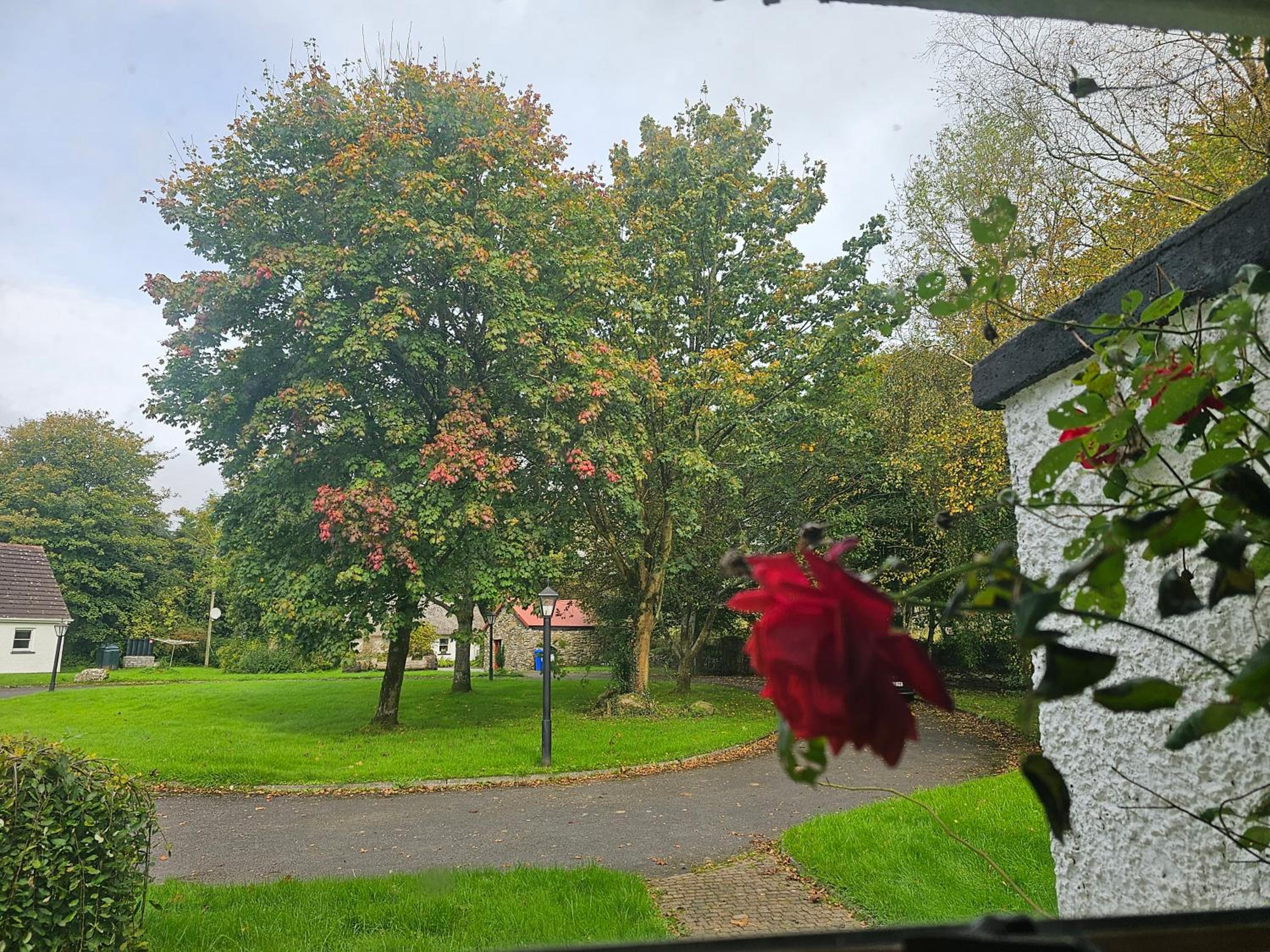 Longford Holiday Red Rose Self Catering Cottage view 2