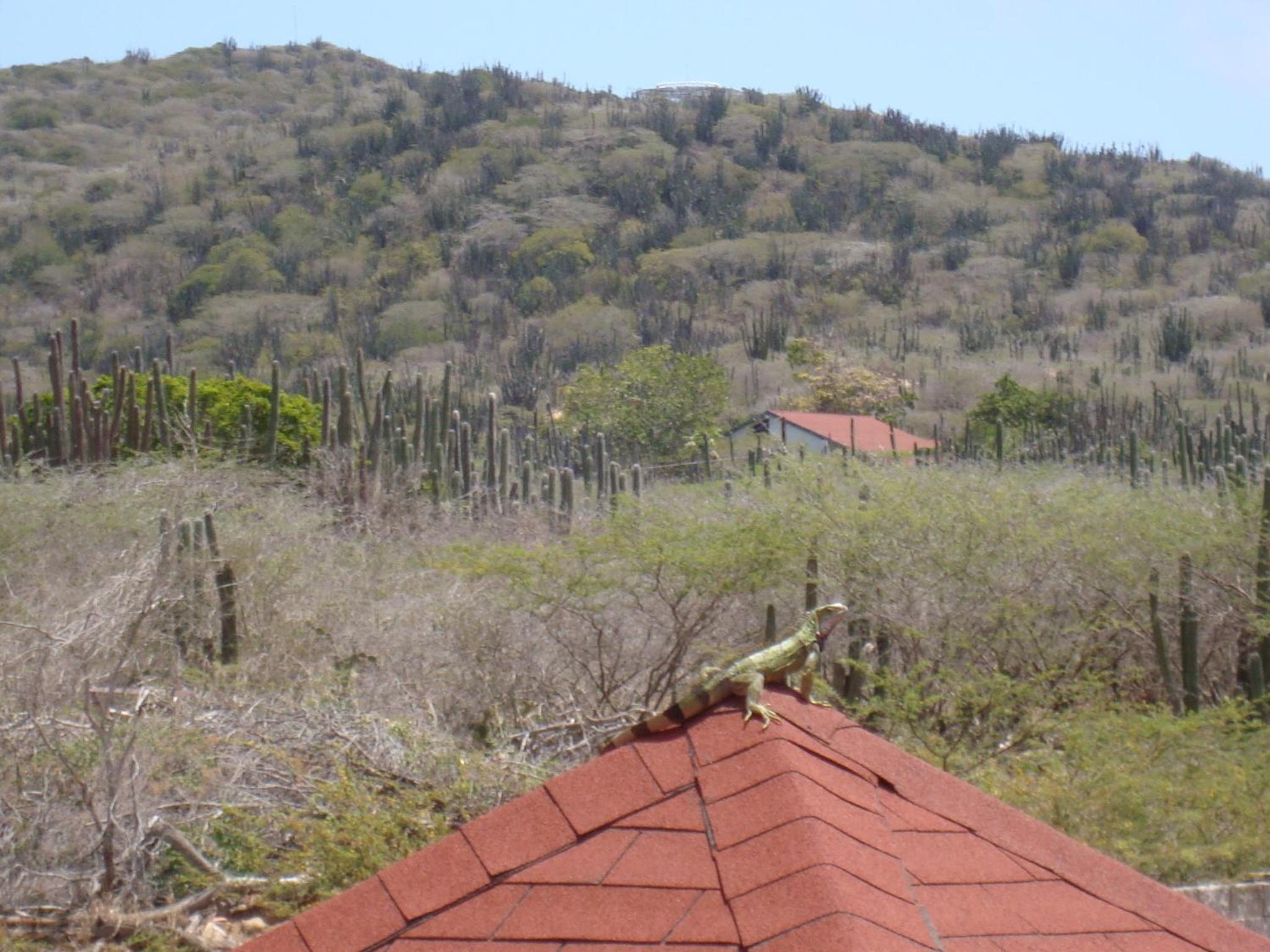 Fuego Mio Bed & Breakfast