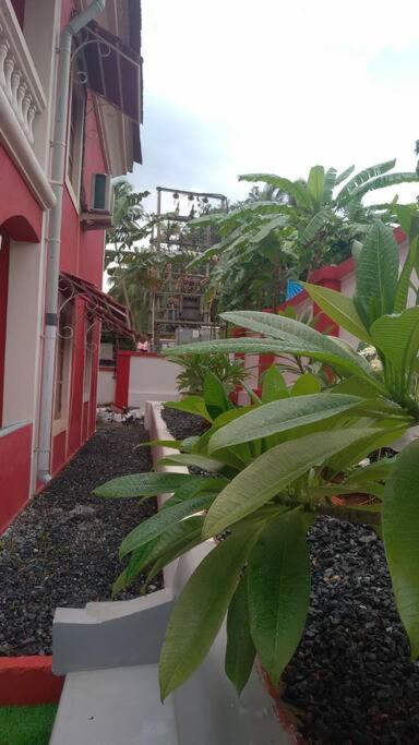 Villa Morning Glory - 4BHK Luxury Home near the Beach view 4