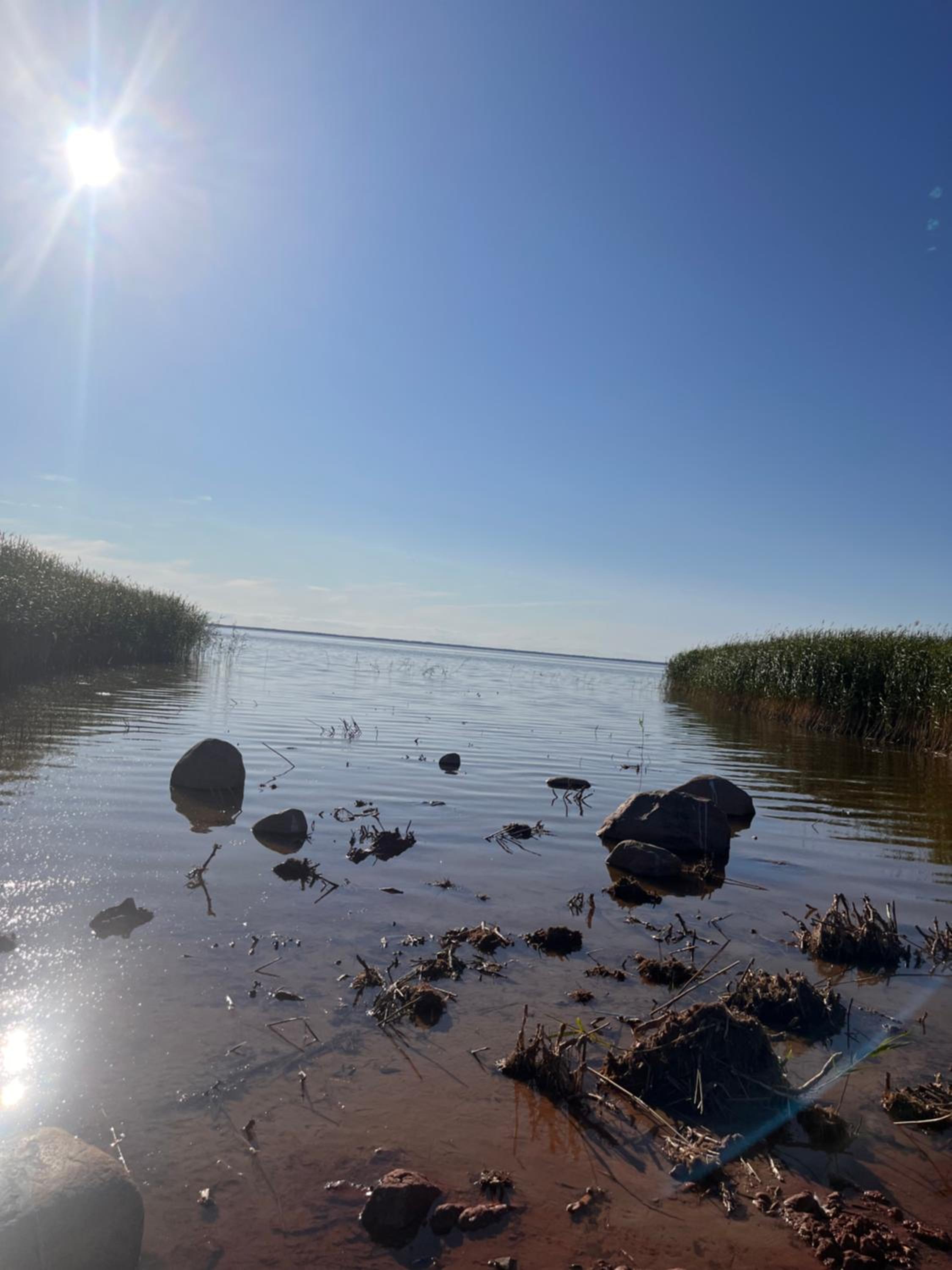 Saare-Toominga camping house