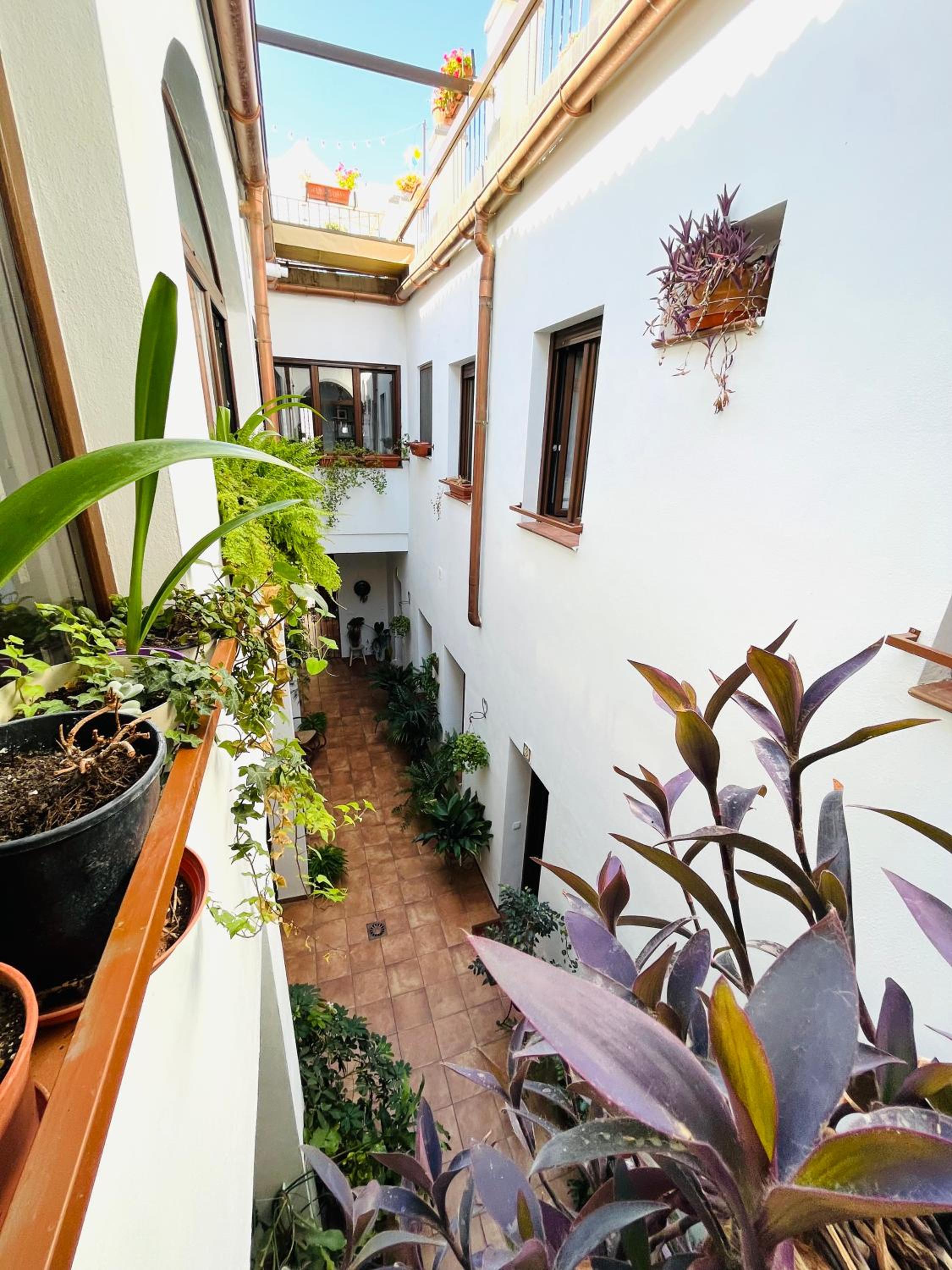 Casa Turística San Agustín