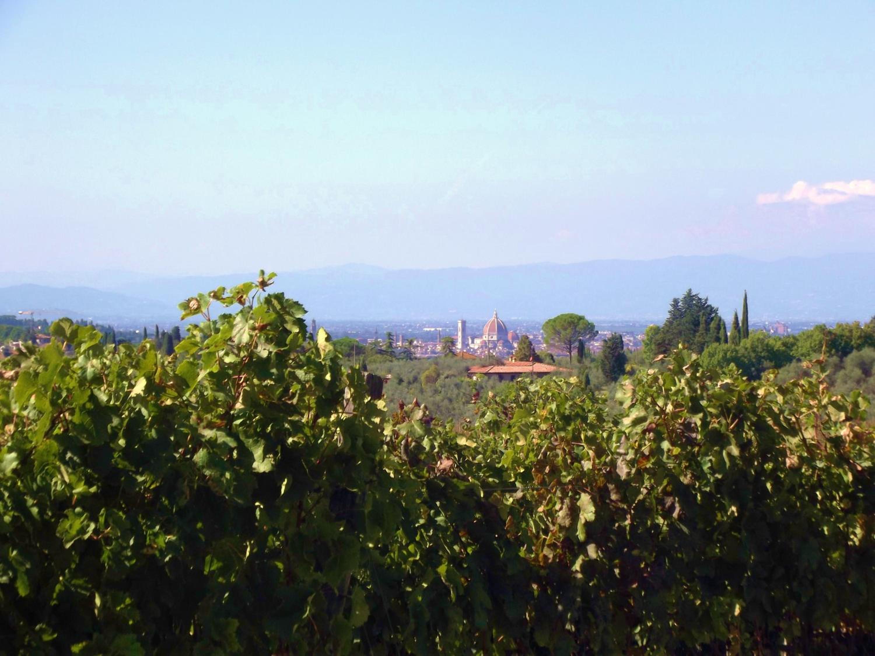 Le Civette Country Resort view 4