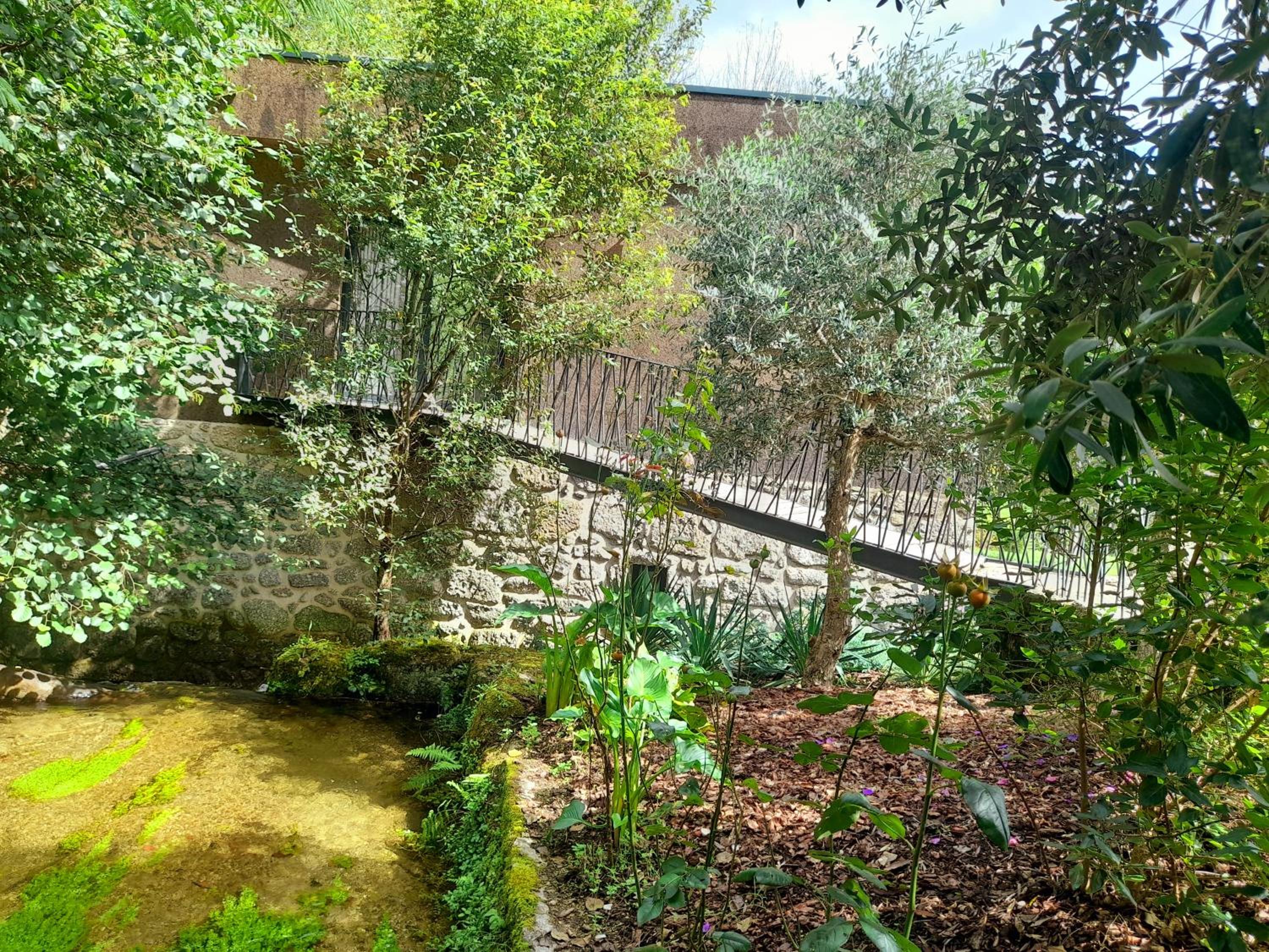 Moinhos Carvalhas view 5