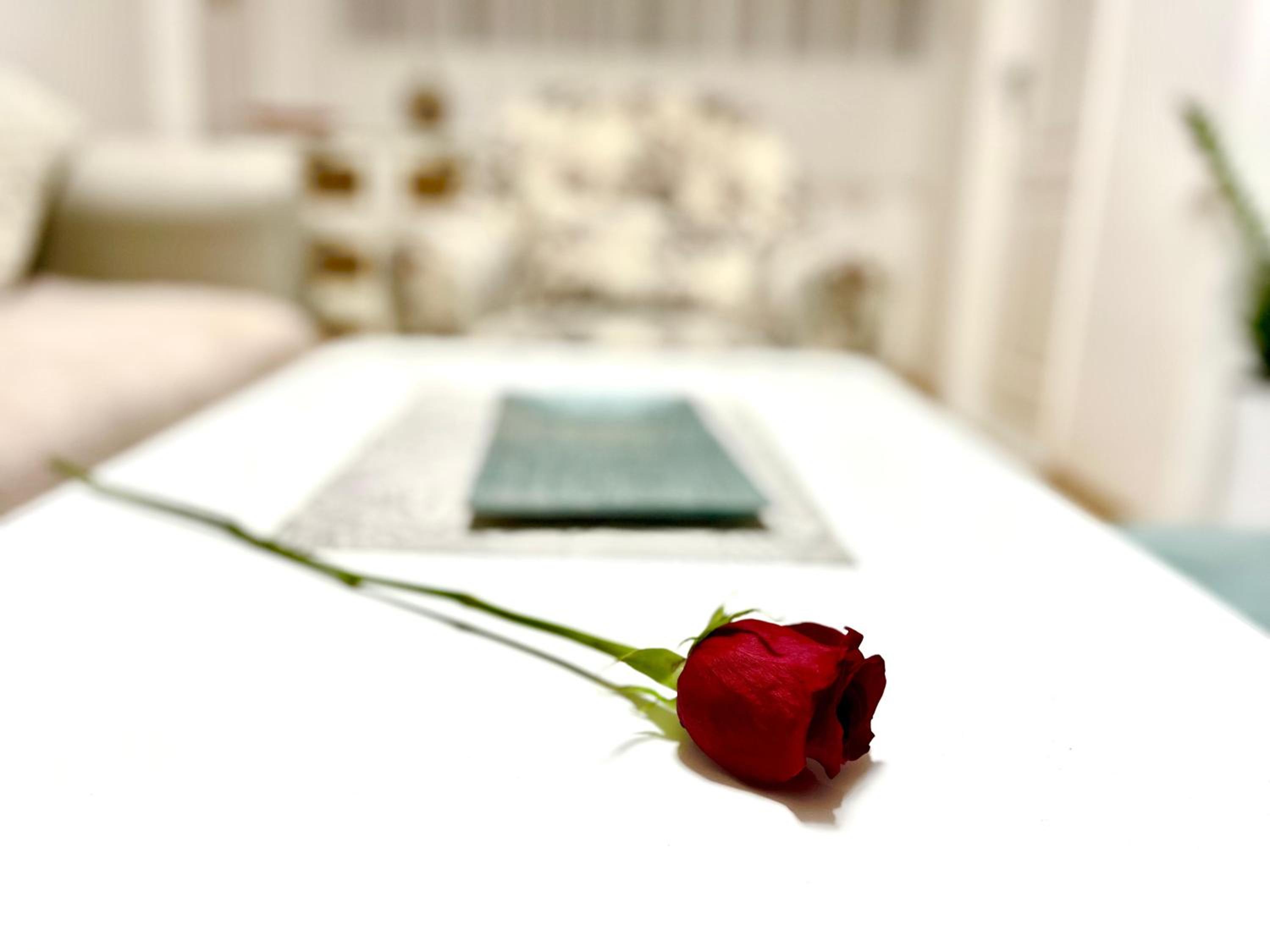 Sapartment 86