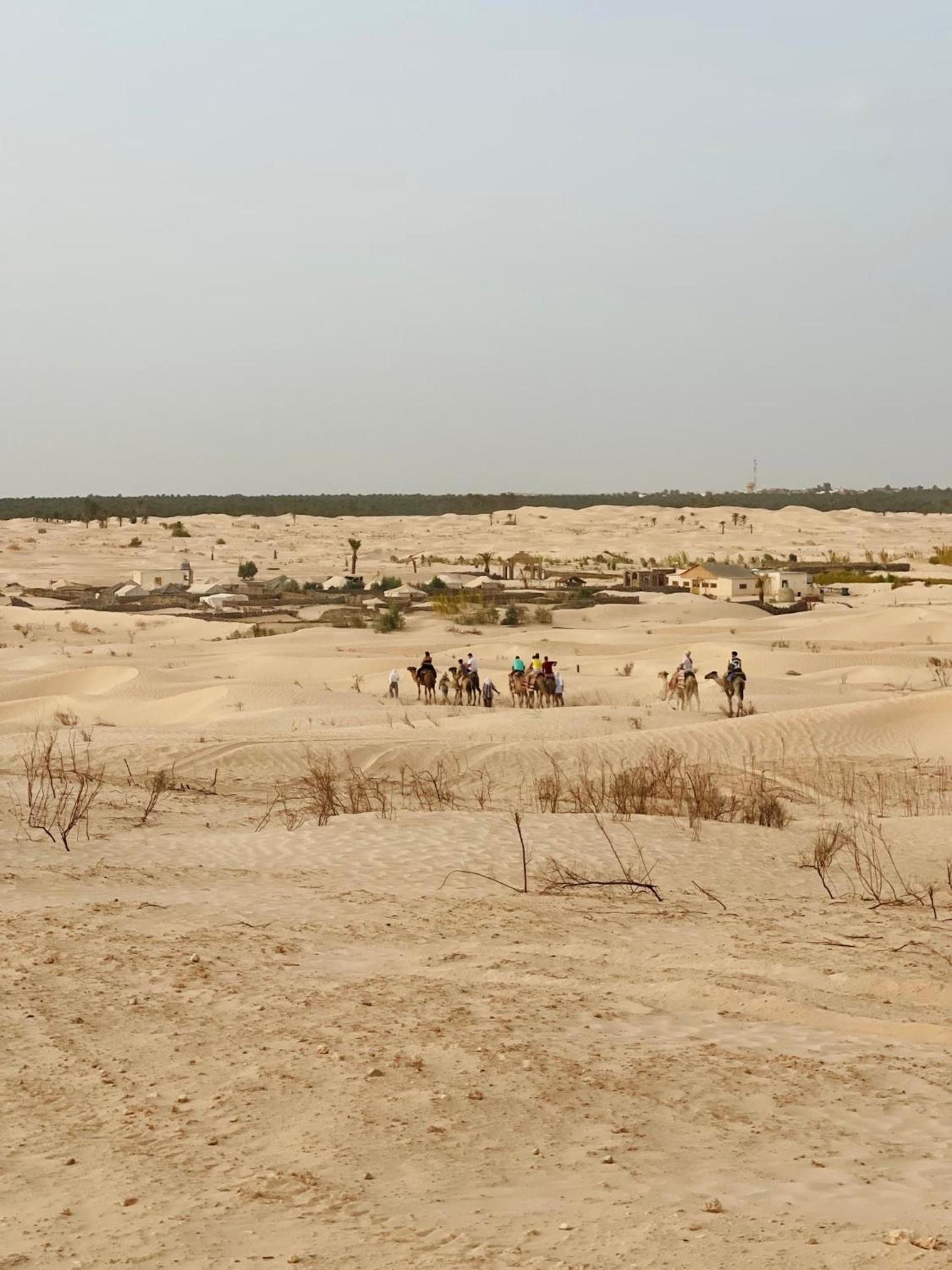 Camp Dunes Insolites Sabria