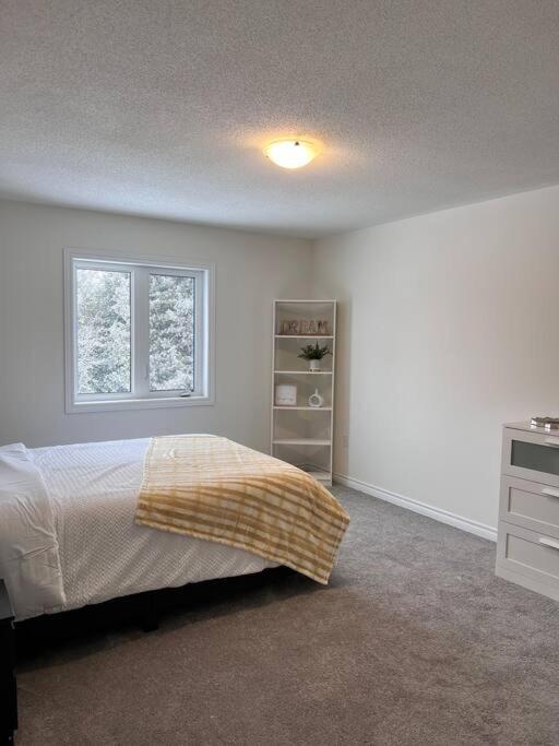 Modern & Cozy Kawartha Getaway