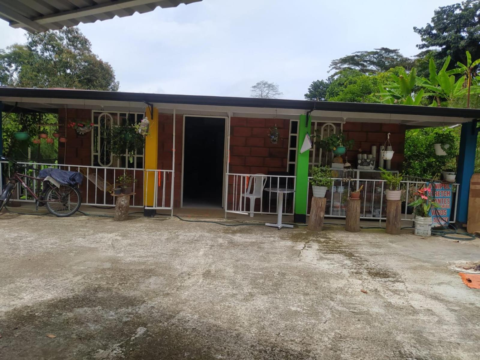 Finca la primavera