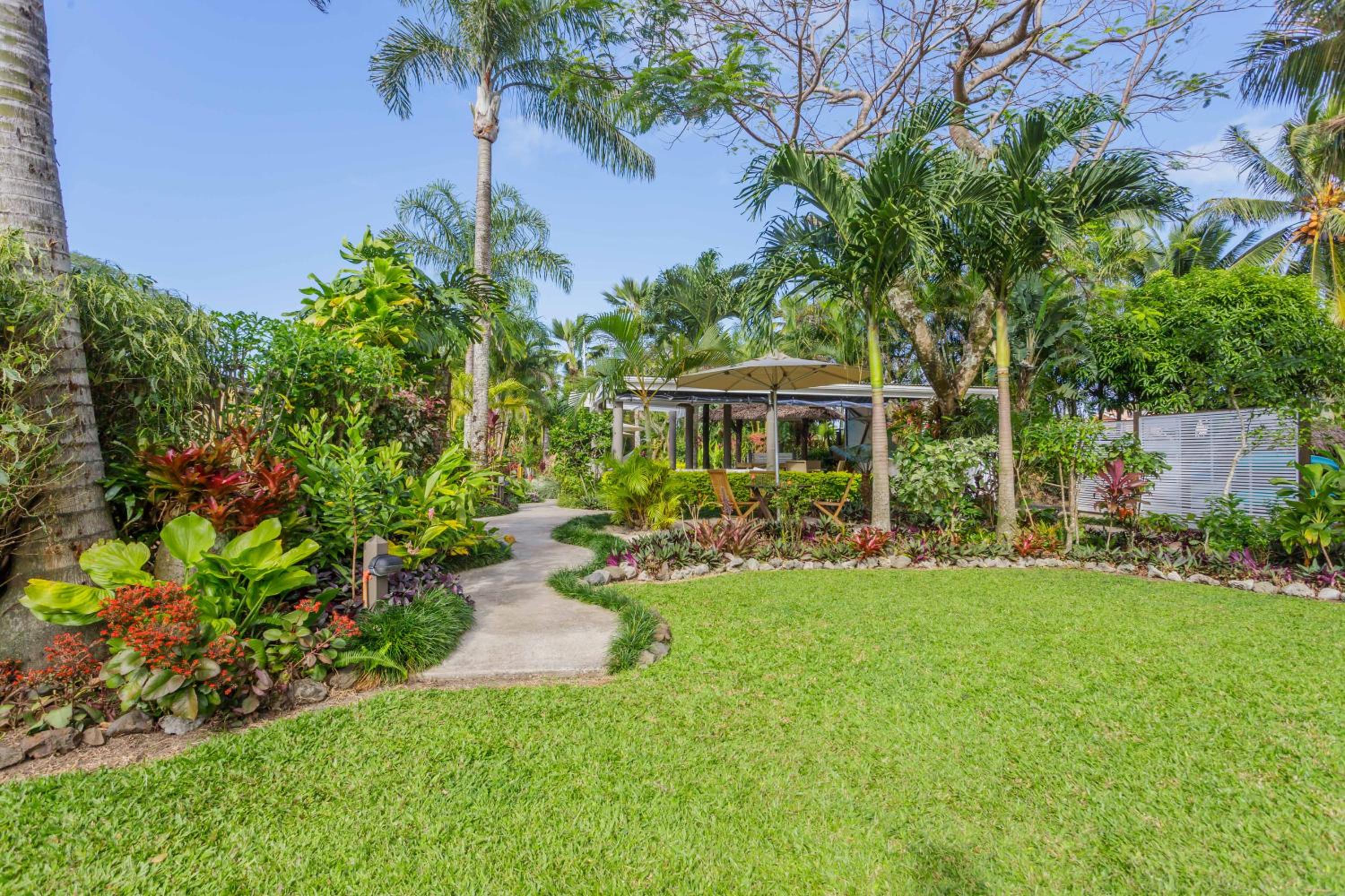 Rarotonga Daydreamer Escape