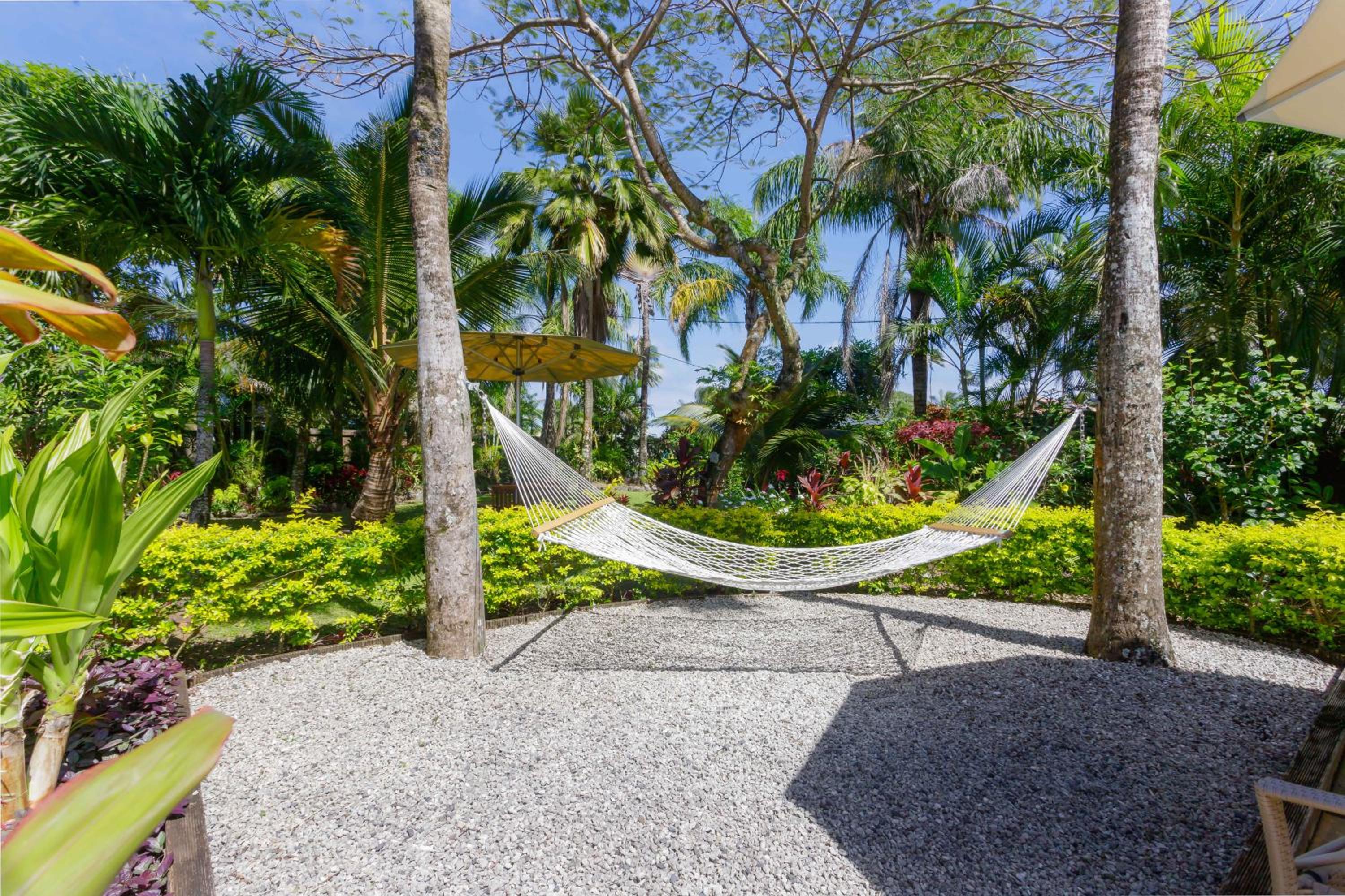 Rarotonga Daydreamer Escape