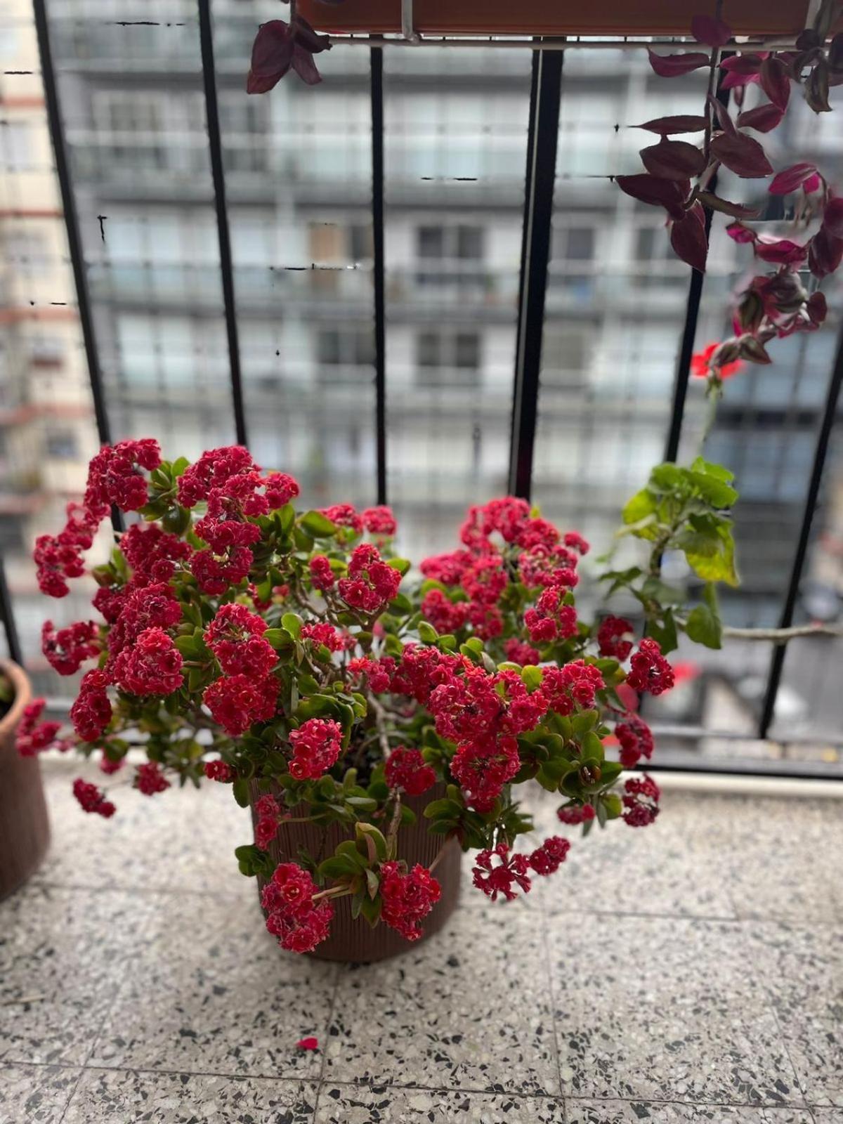 HERMOSO DEPTO. EN PLENO PALERMO SOHO