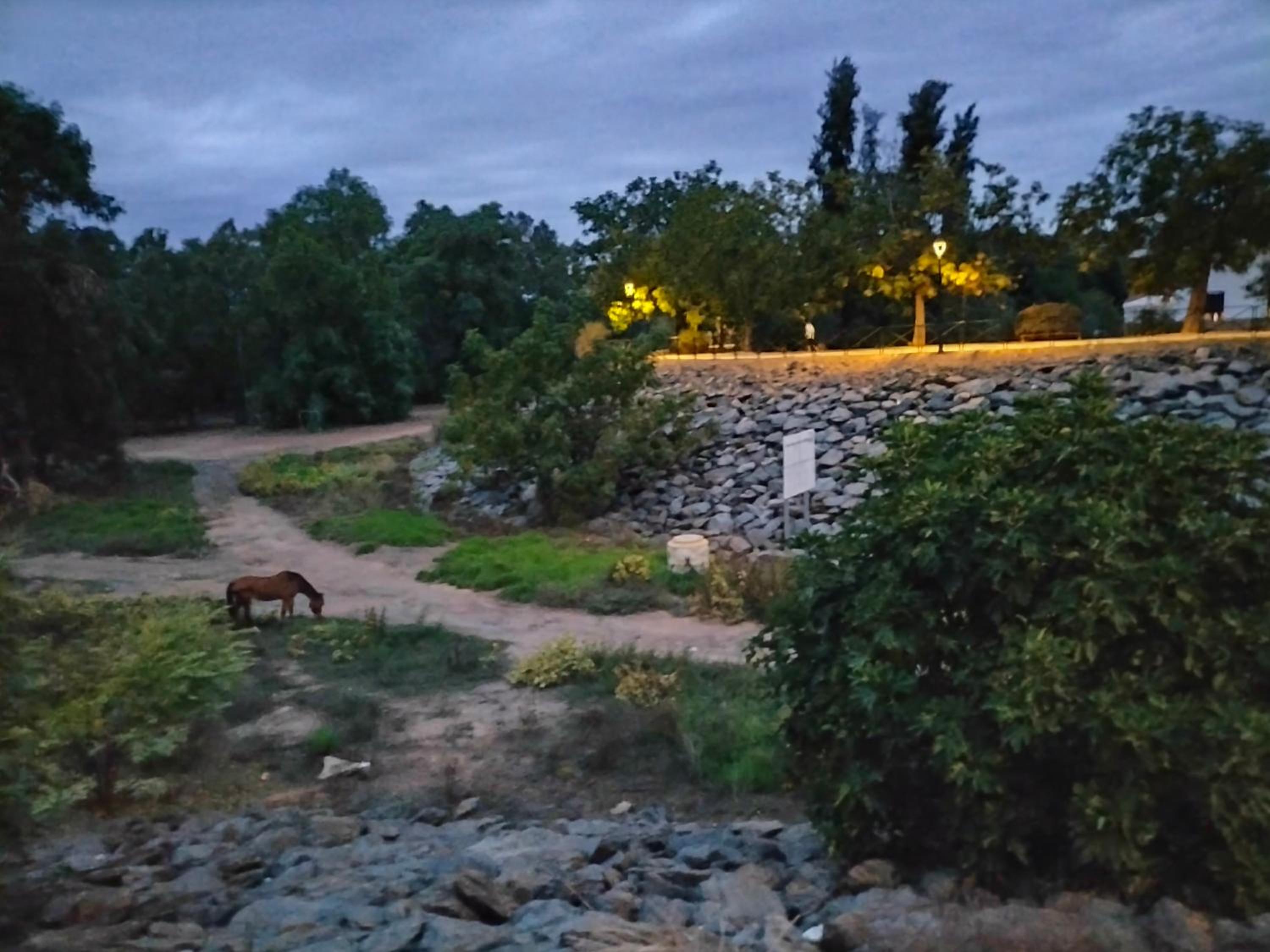 FINCA RIODIEL