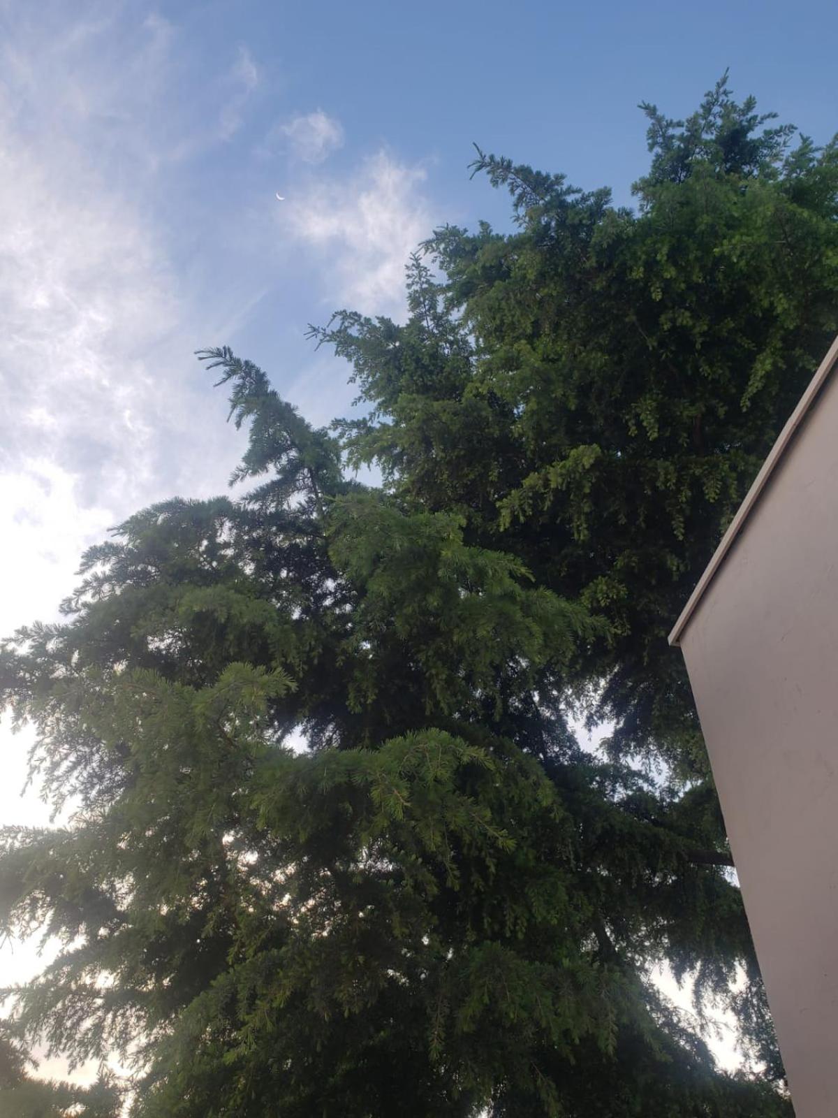 Matilde`s Sun