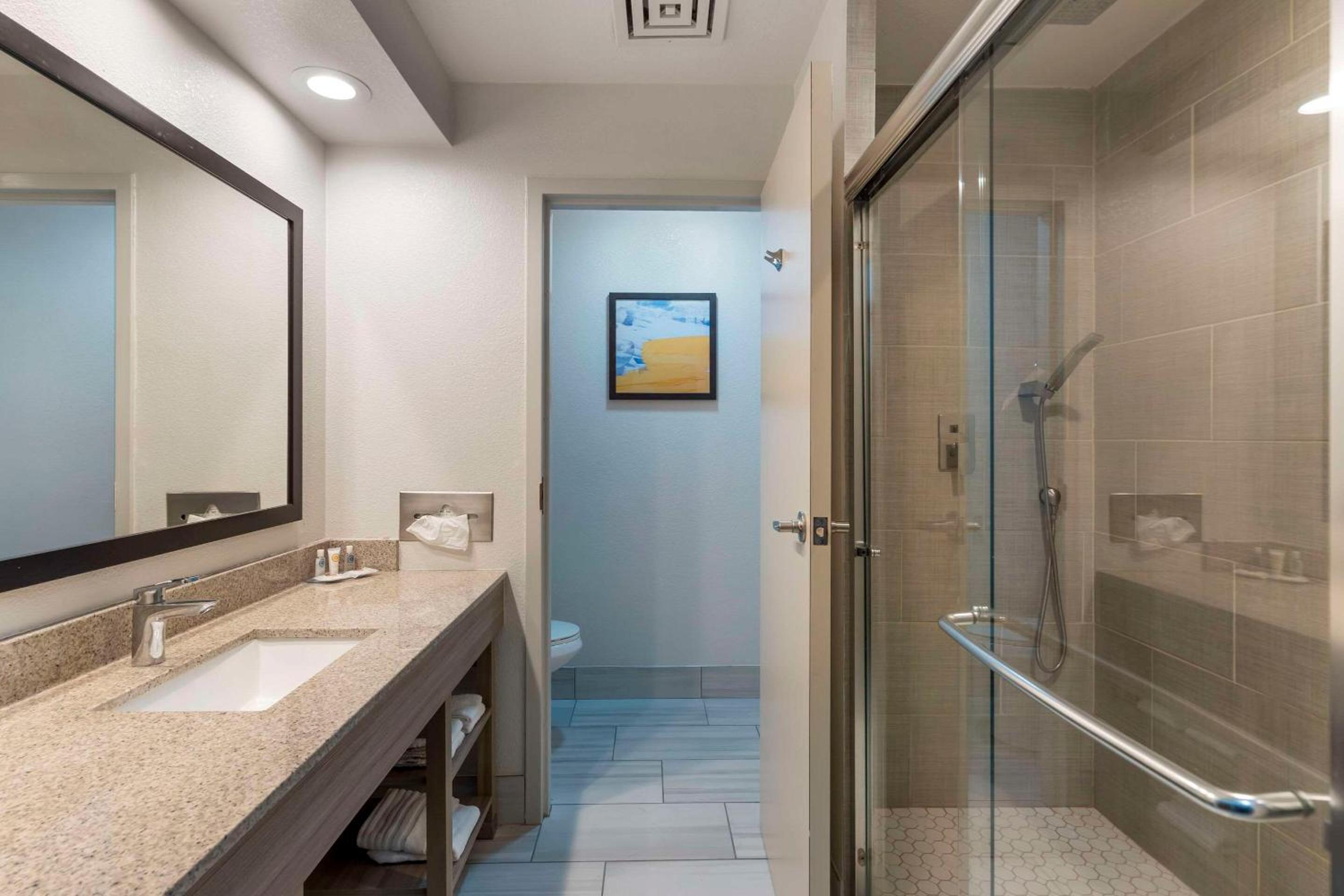 Comfort Inn Suites Mundelein-Vernon Hills - Property Image 41