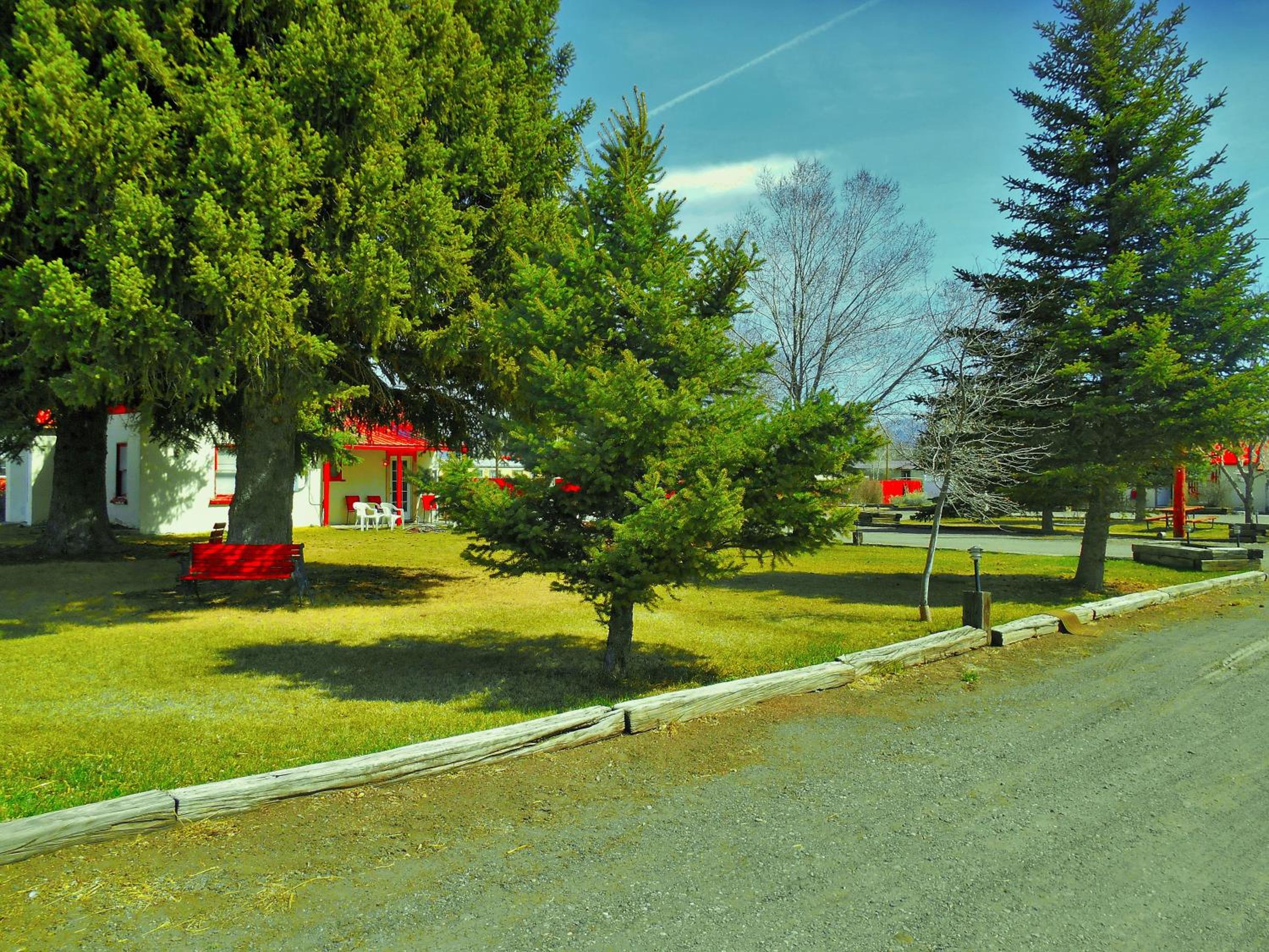 Photo 19
