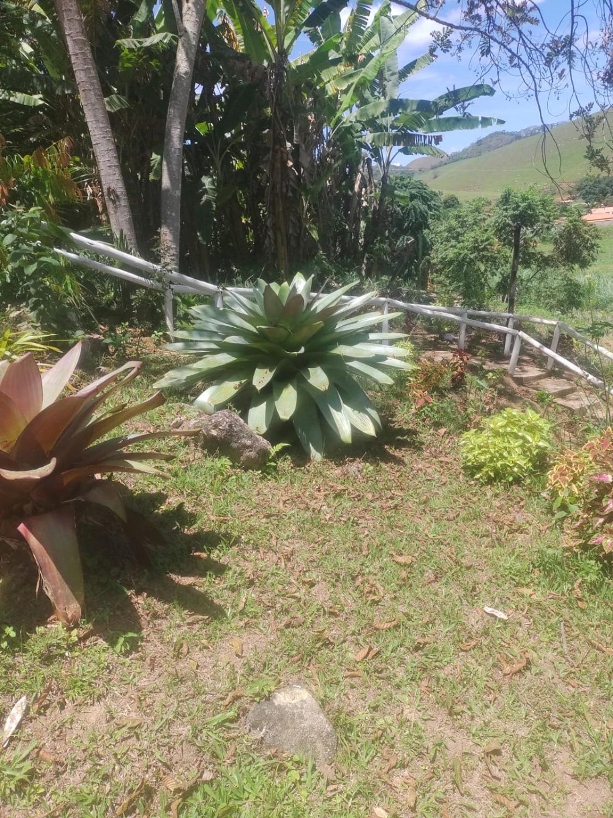 Sítio das Jaqueiras