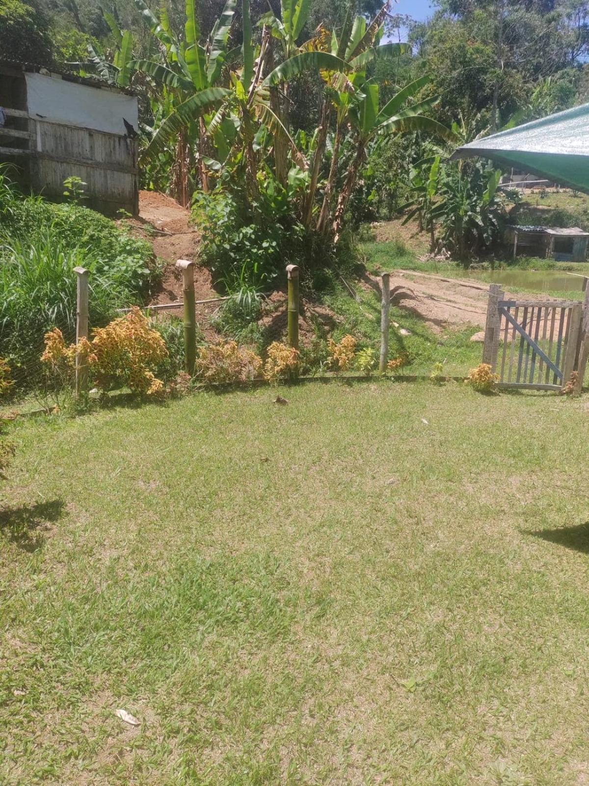 Sítio das Jaqueiras