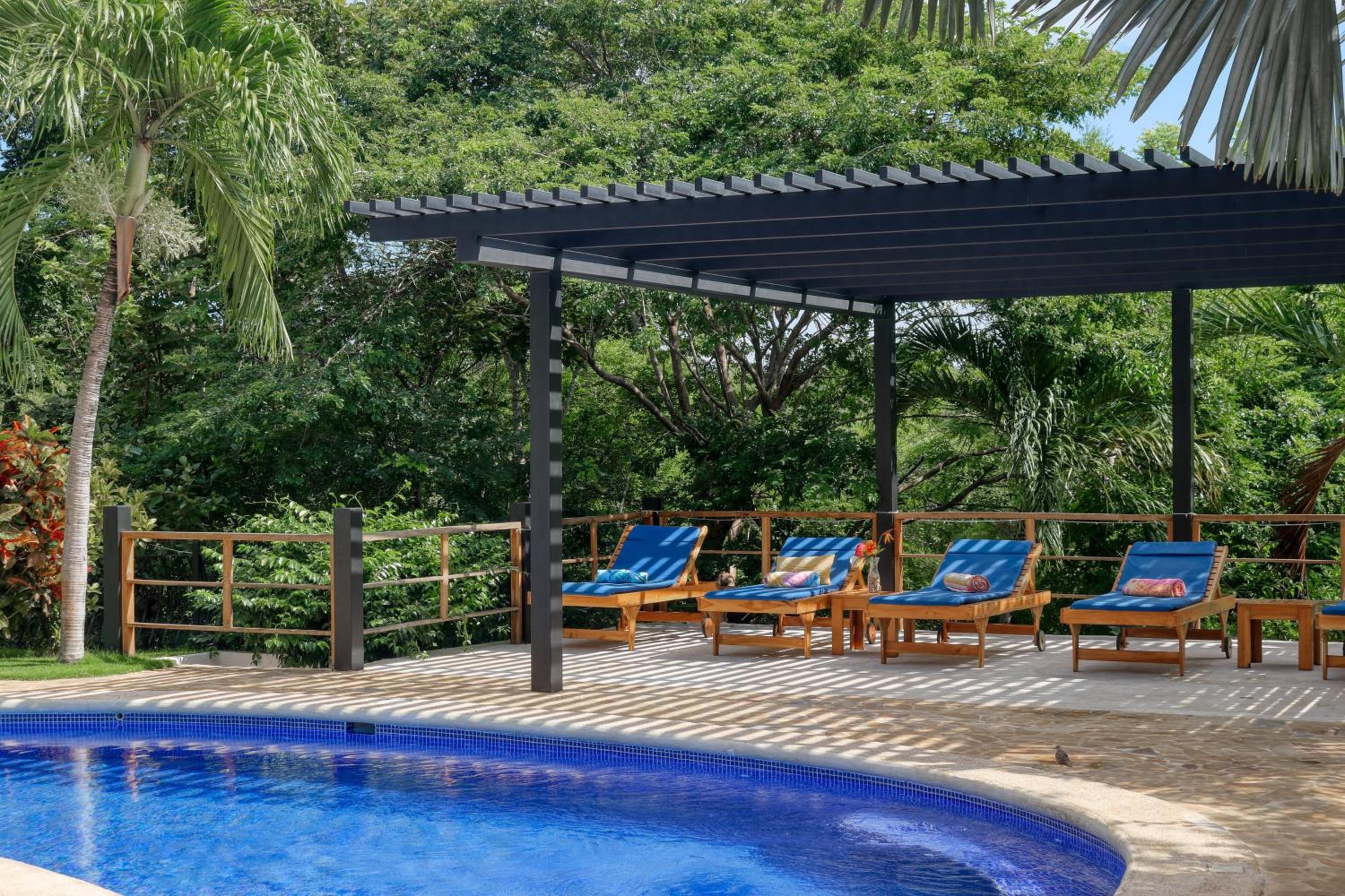 Photo 24
