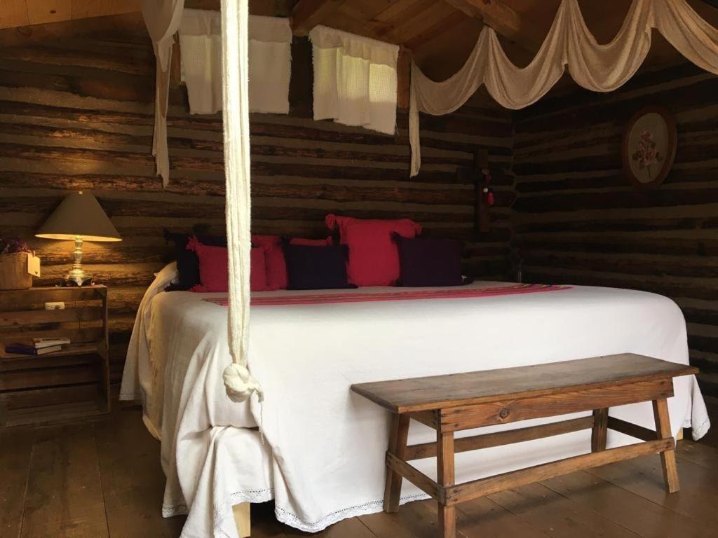 Xamikal, photo 13