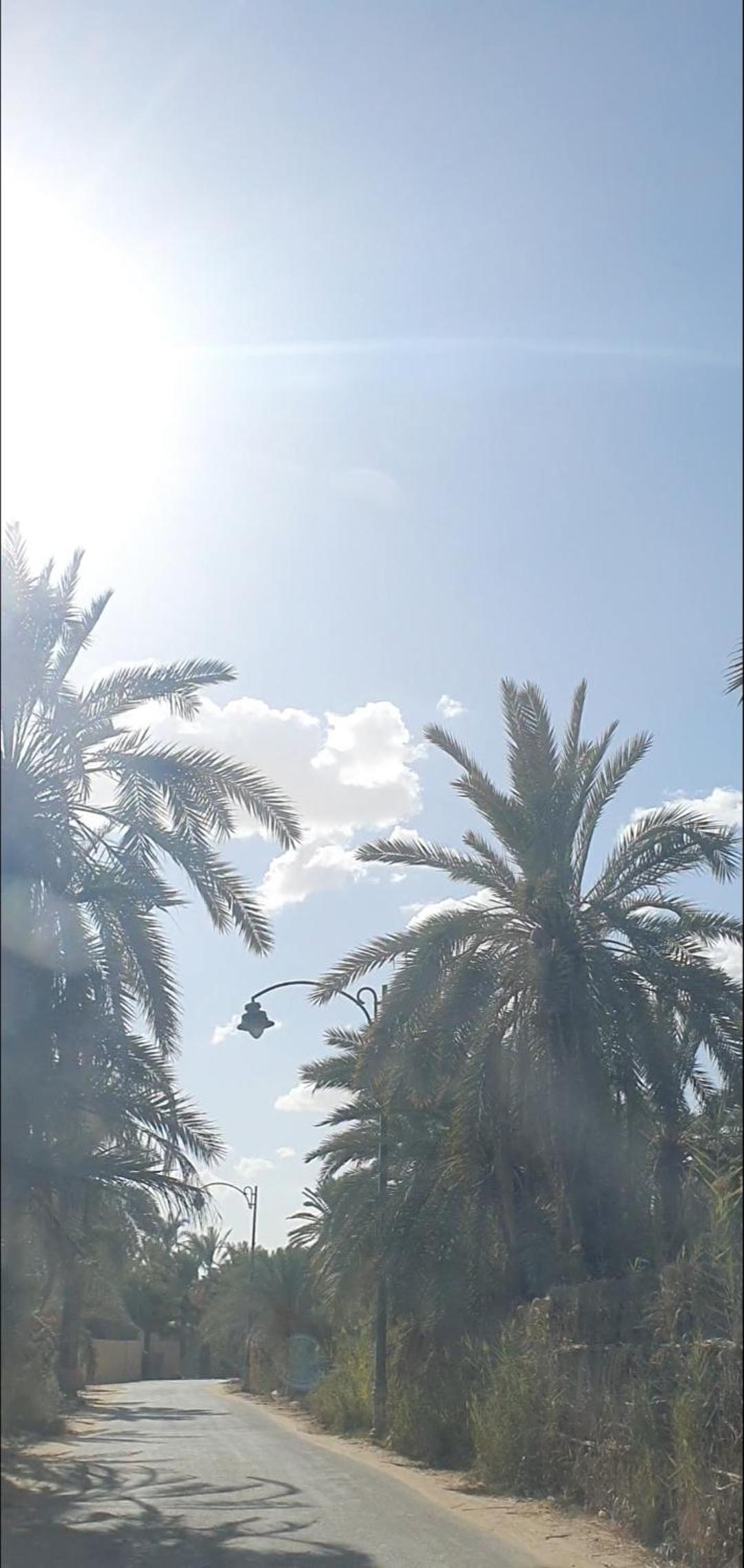Tijan Siwa