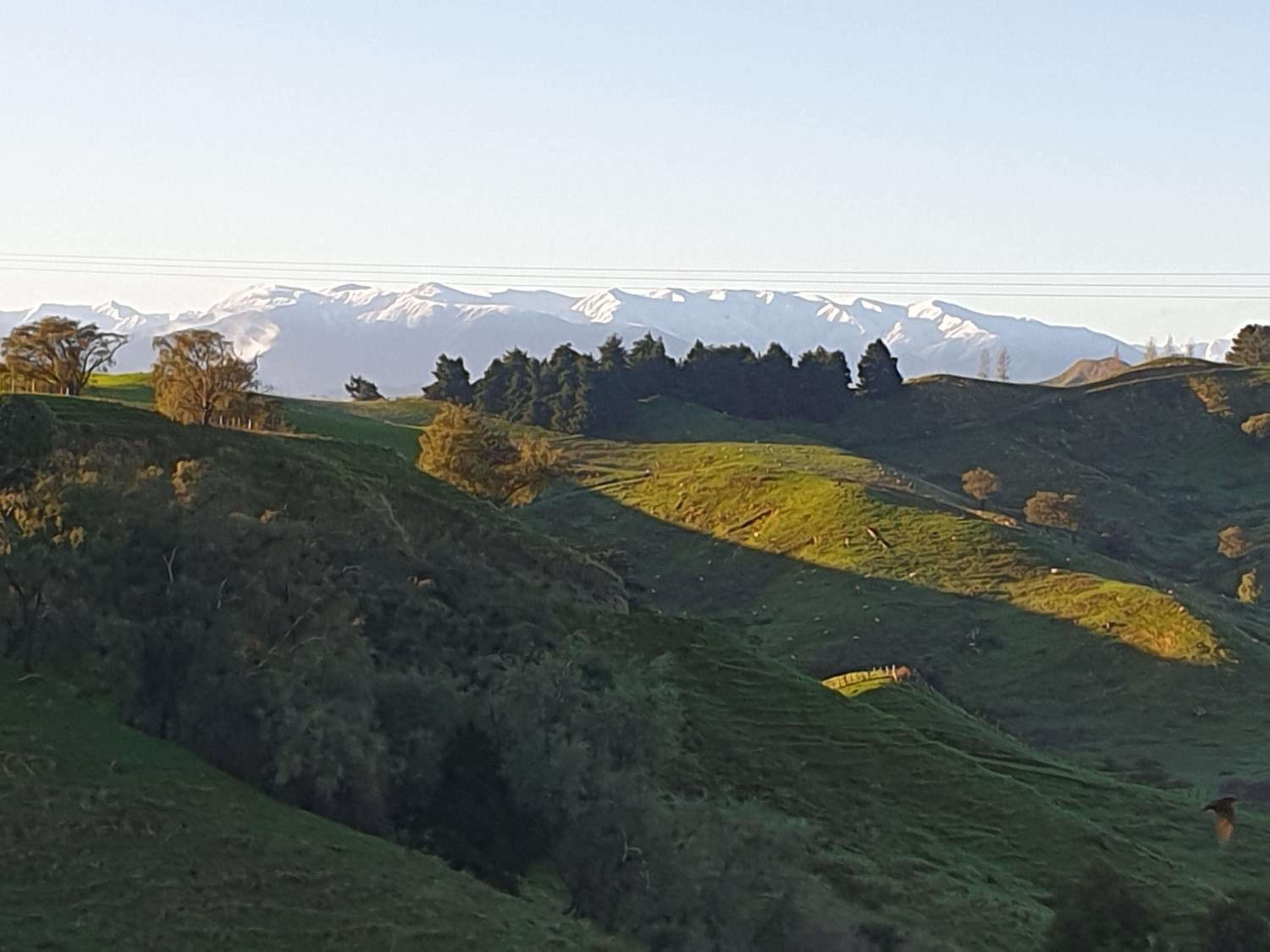 Hopwood Bed & Breakfast view 3