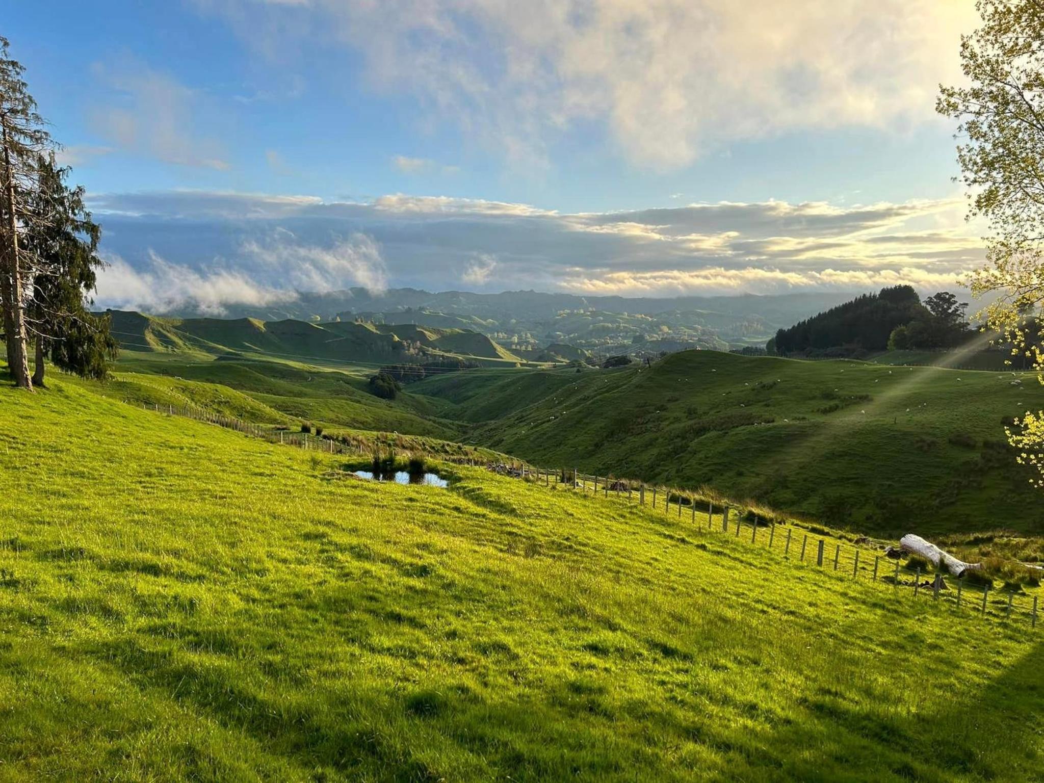 Hopwood Bed & Breakfast view 5