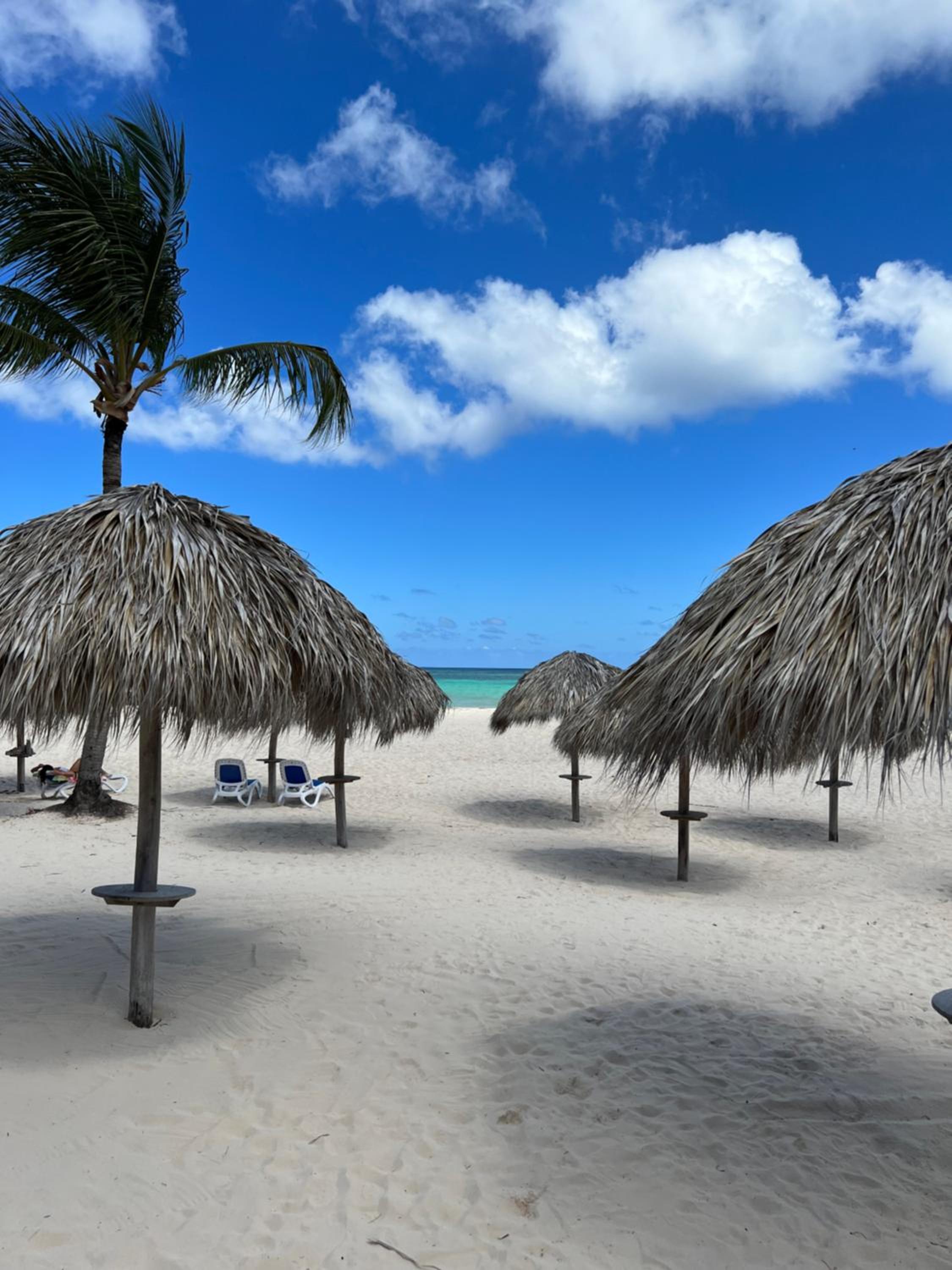 Fully renovated Beachfront 1BR Condo in the gated Stanza Mare community with a private beach, pool, onsite restaurant and modern amenities such as refriger view 2