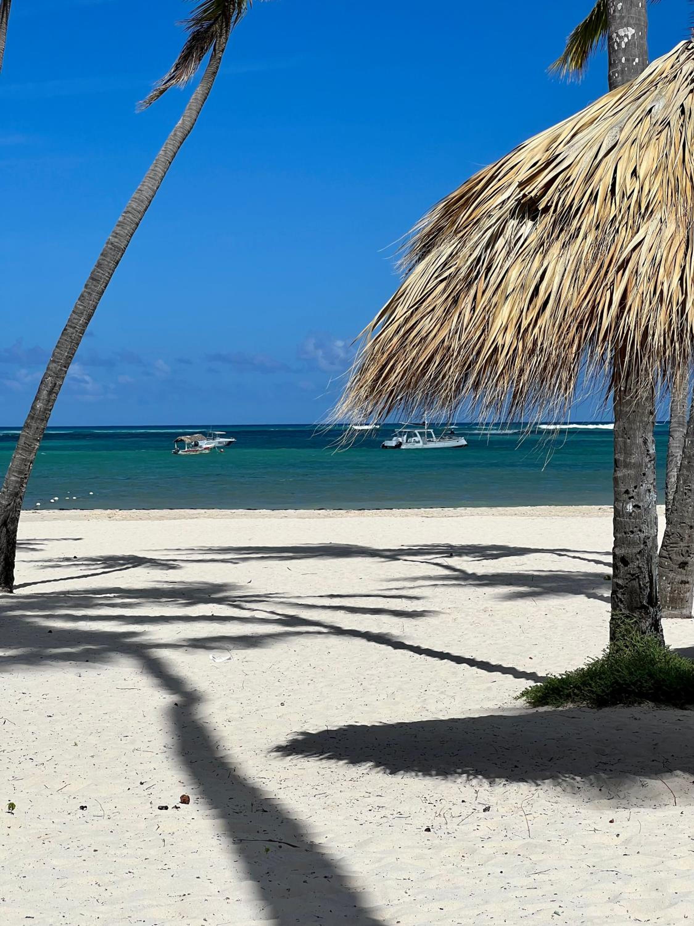 Fully renovated Beachfront 1BR Condo in the gated Stanza Mare community with a private beach, pool, onsite restaurant and modern amenities such as refriger view 4