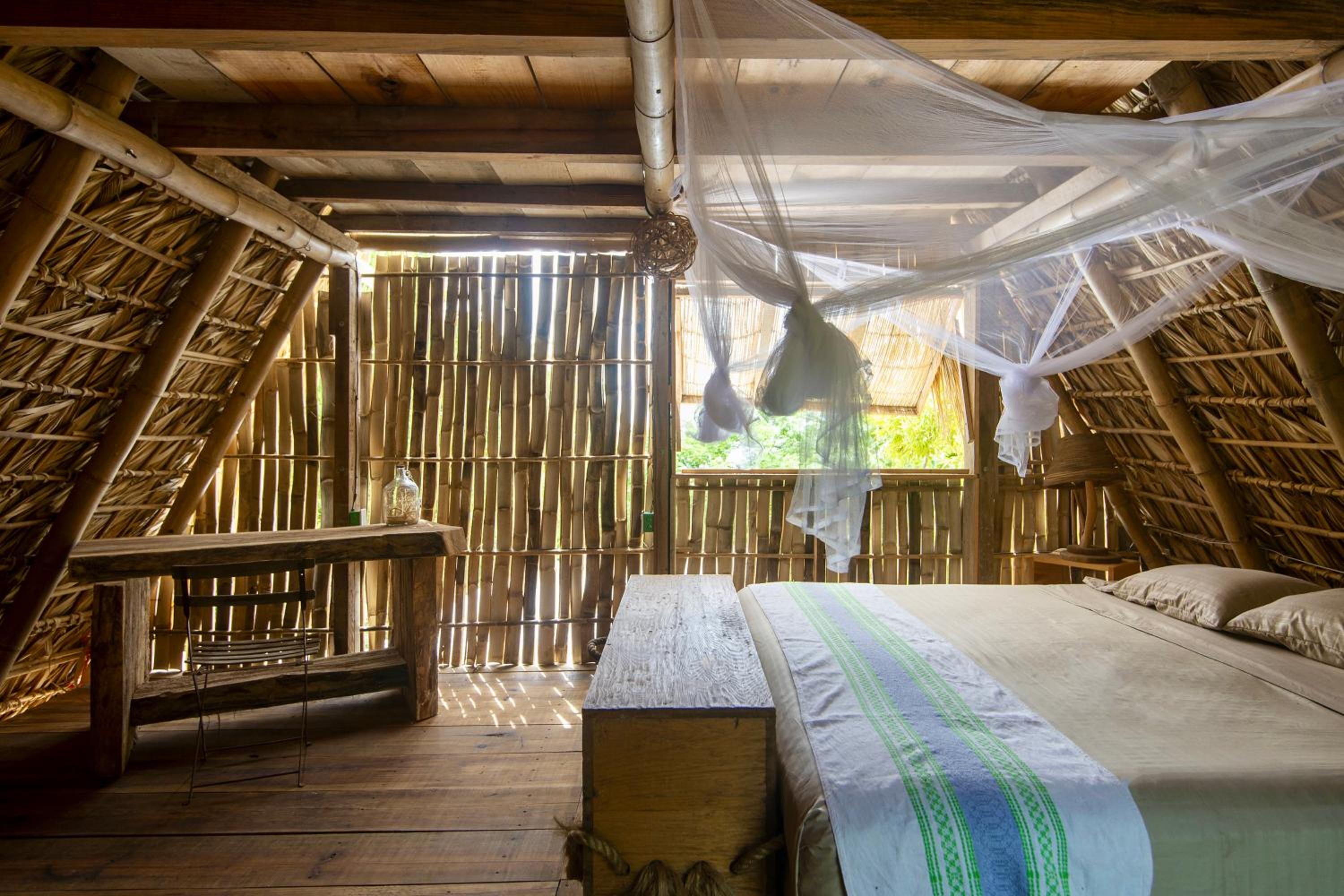 Photo 53