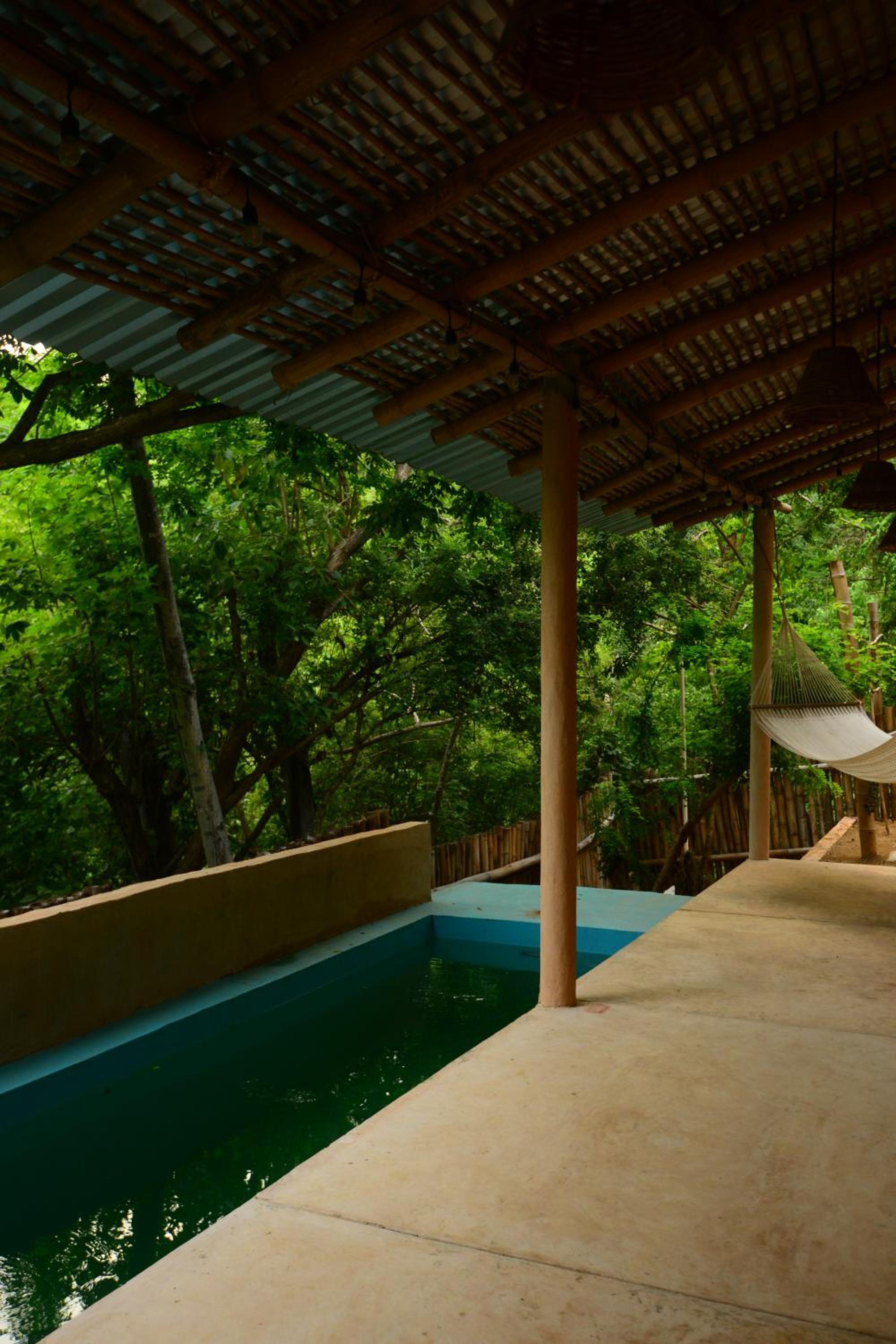 Photo 105