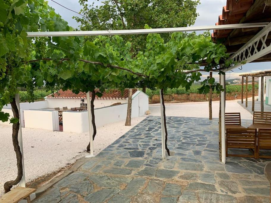 Fonte Freixo, em Borba, Alentejo