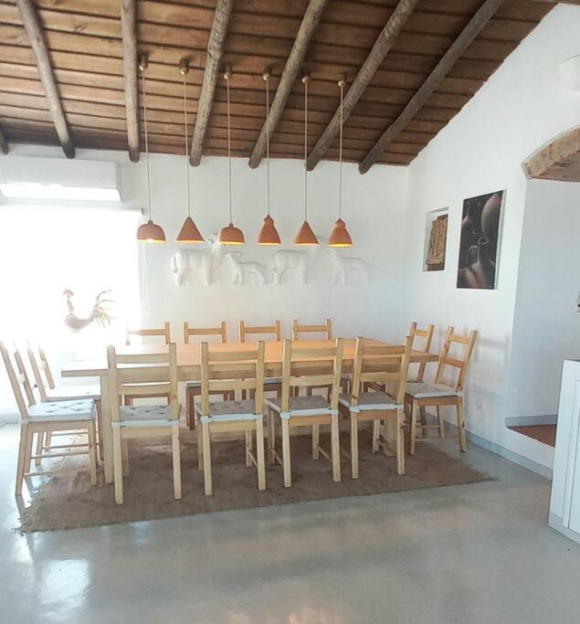 Fonte Freixo, em Borba, Alentejo
