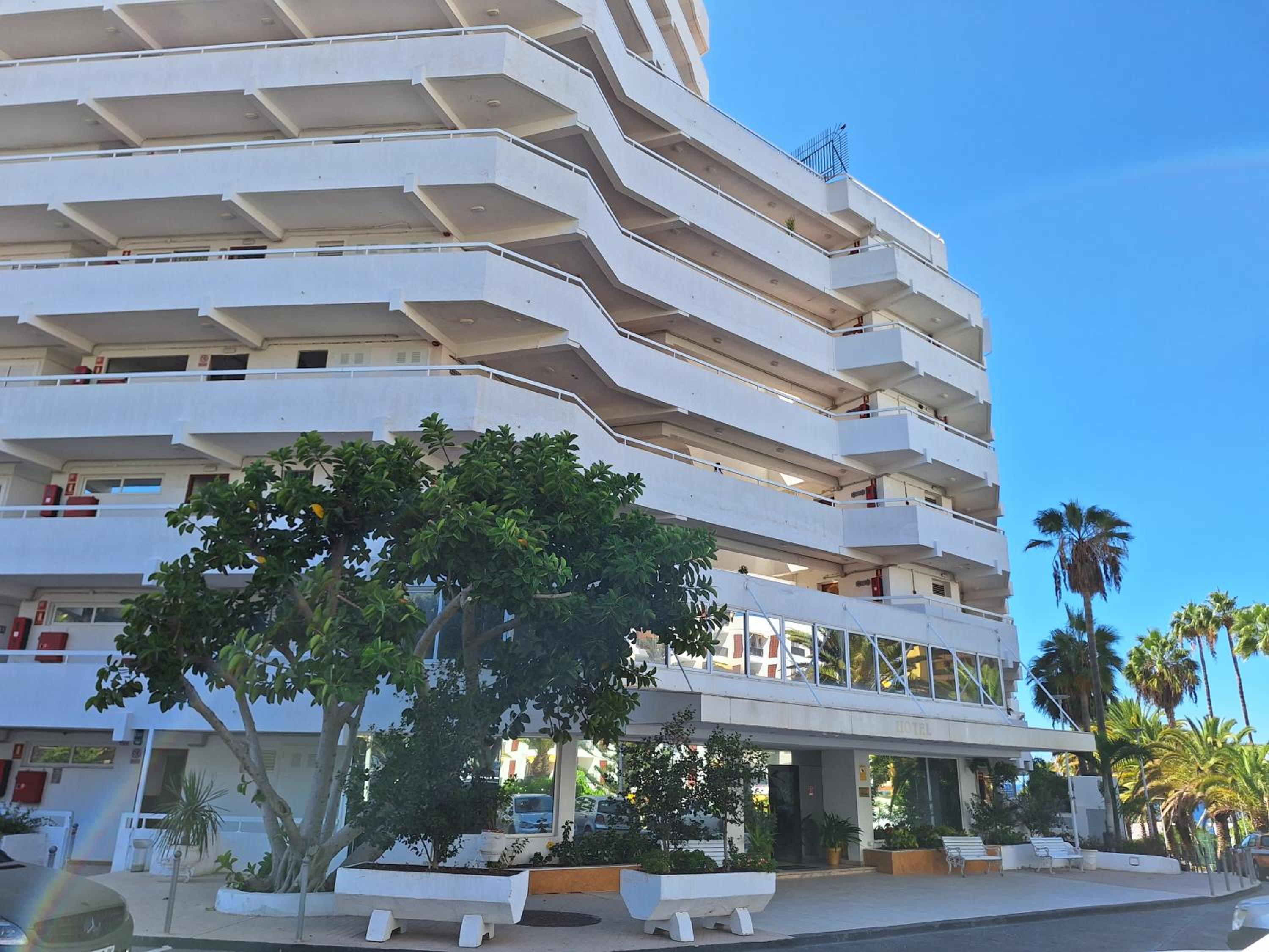 Paraiso Ponderosa, lovely estudio las americas