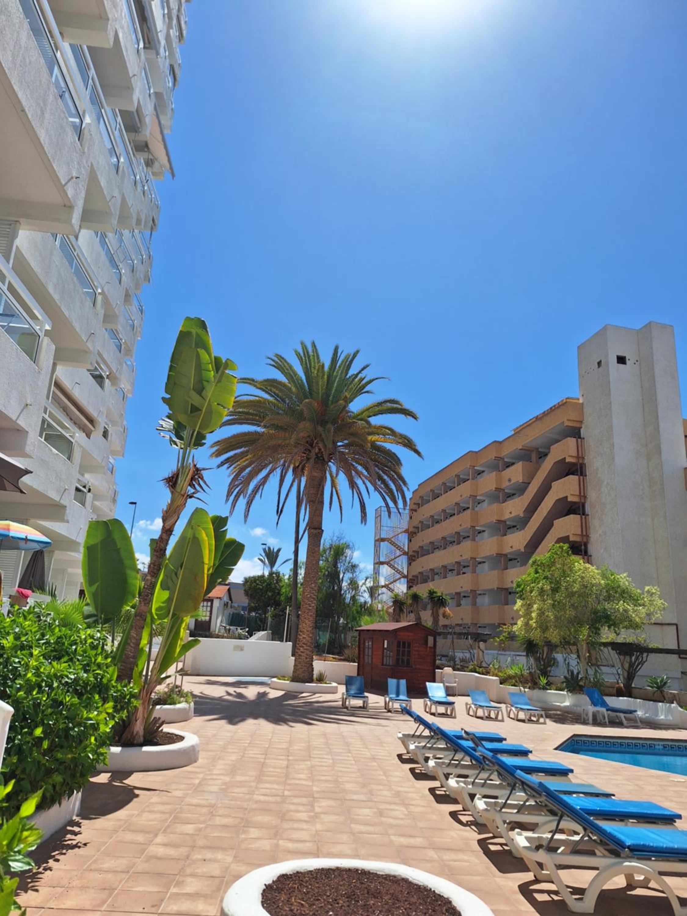 Paraiso Ponderosa, lovely estudio las americas