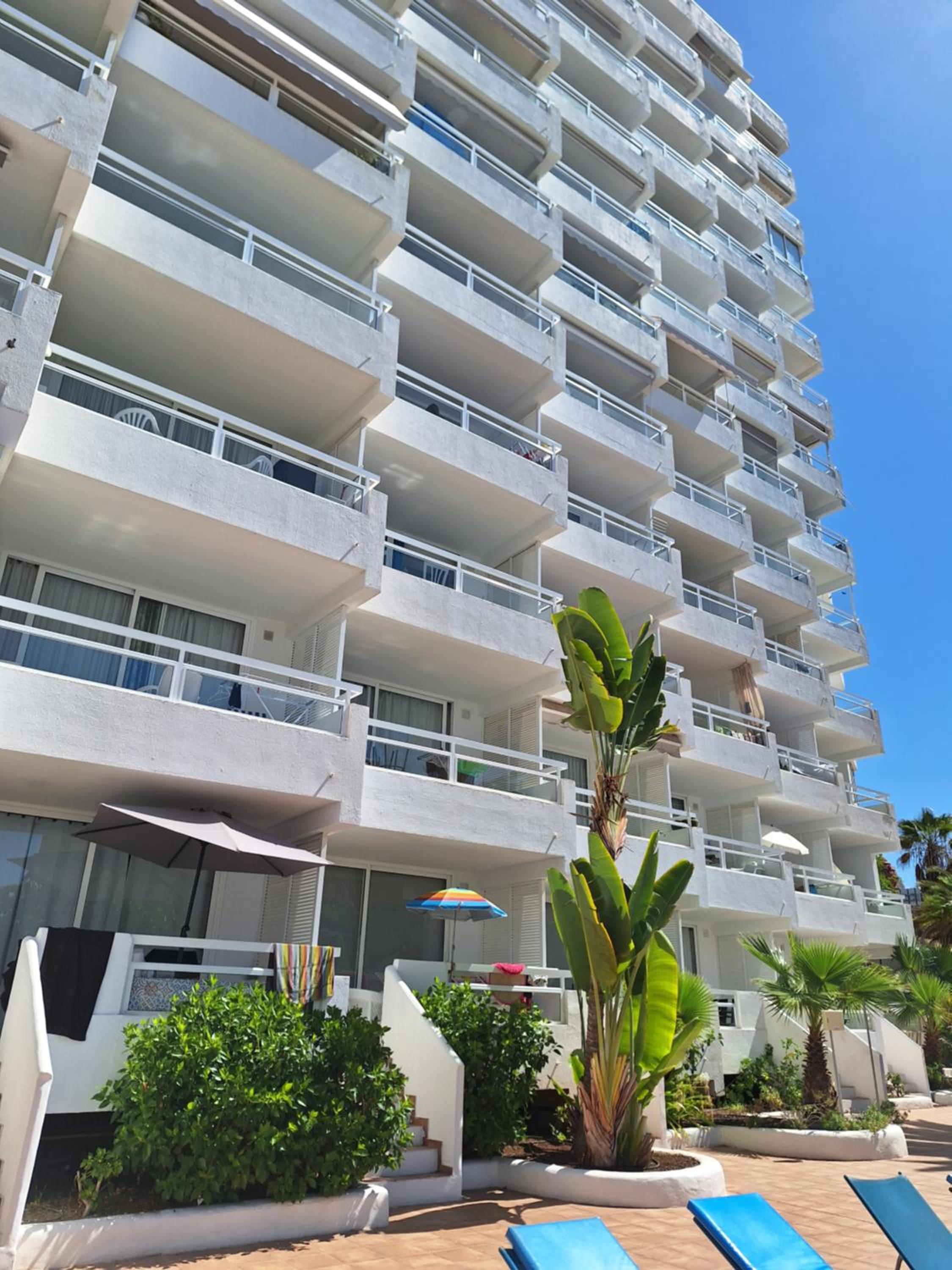 Paraiso Ponderosa, lovely estudio las americas