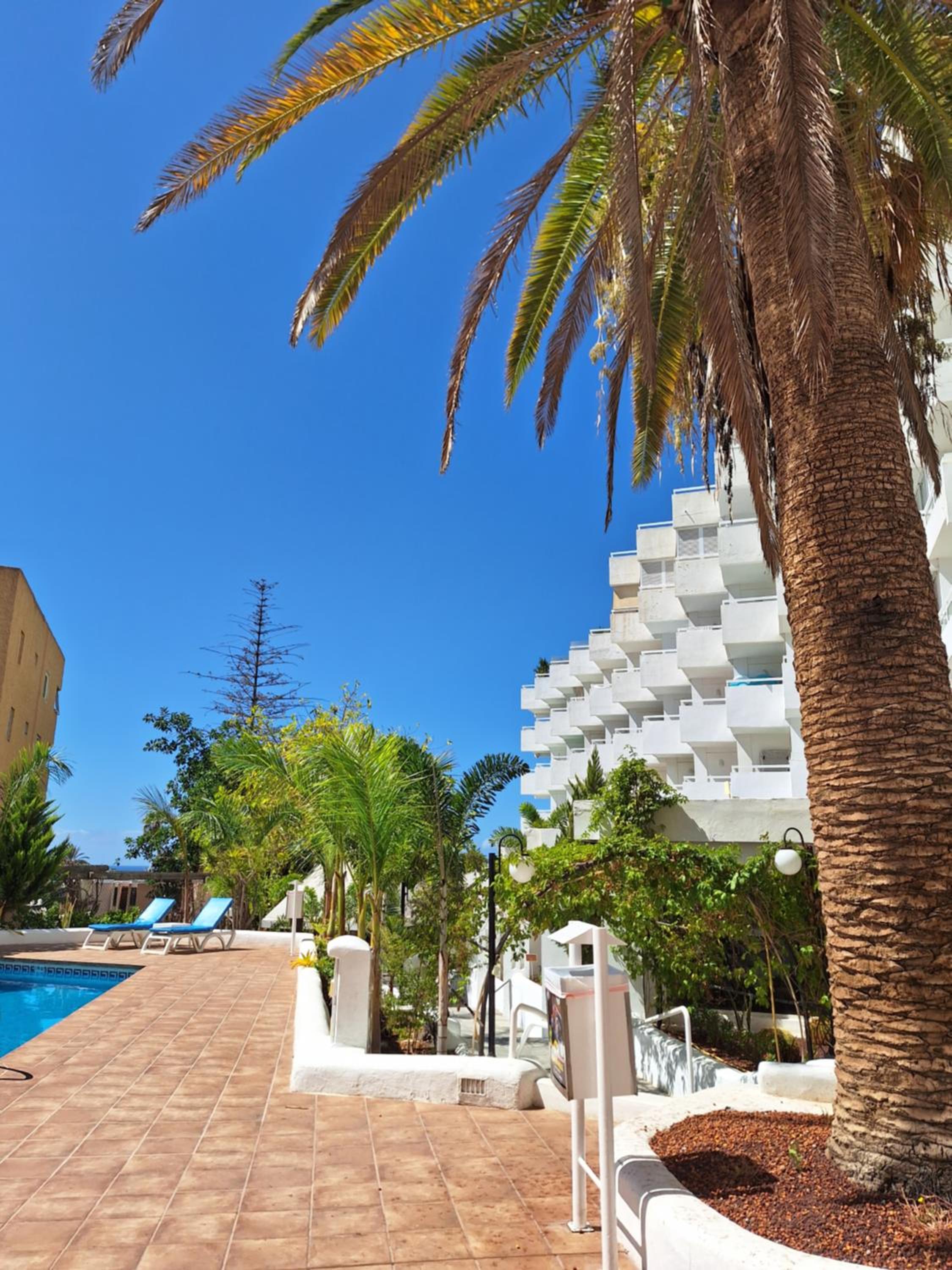 Paraiso Ponderosa, lovely estudio las americas