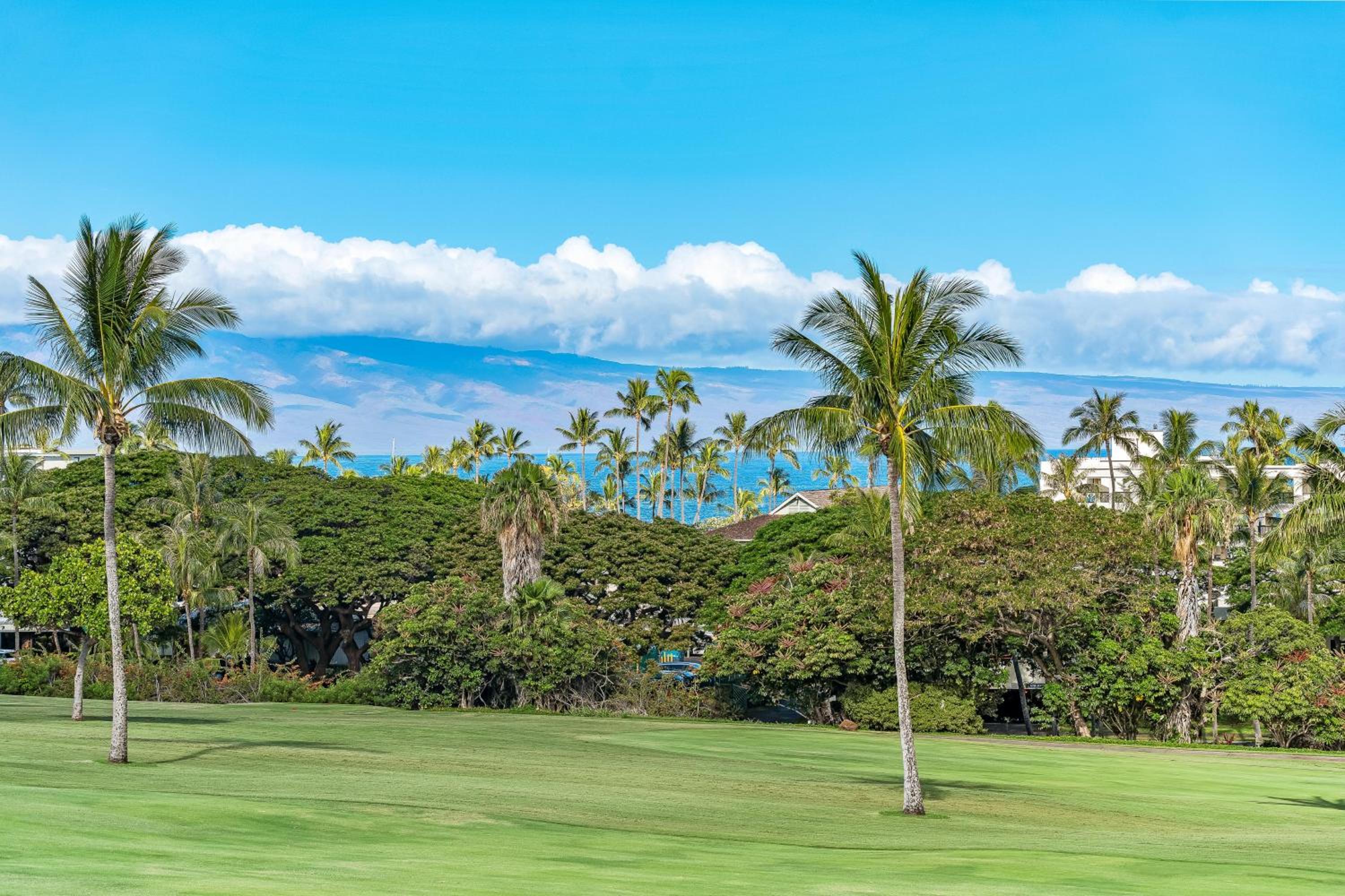 Eldorado A203 · EL A203 Spacious 1BD on Kaanapali Golf Course w