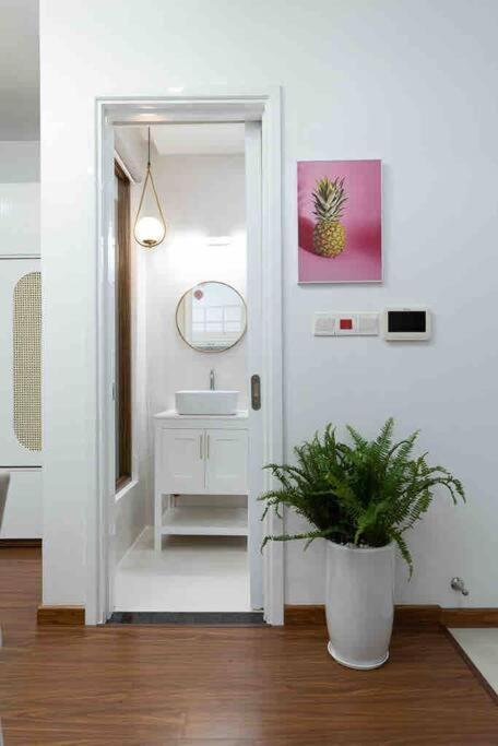 Studio Family Suite