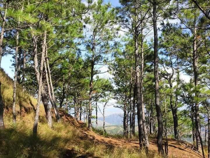 Nueva era eco park resort danglas abra
