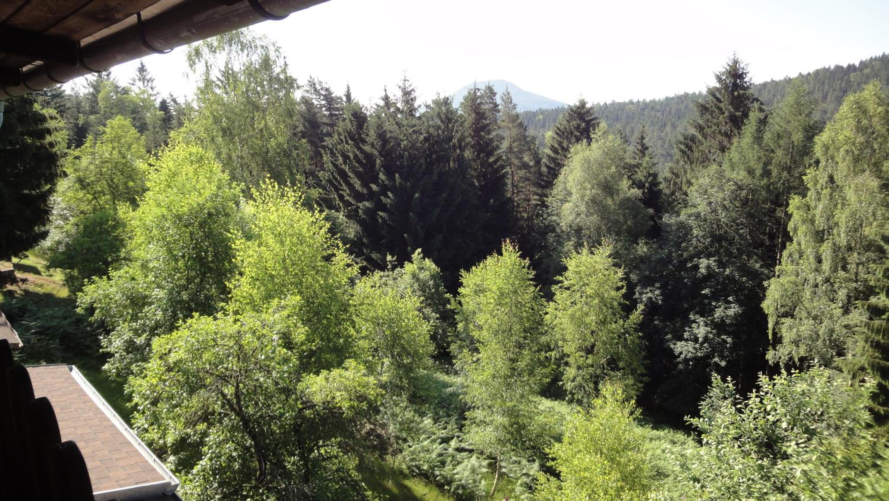 TRIXI´S GUESTHOUSE