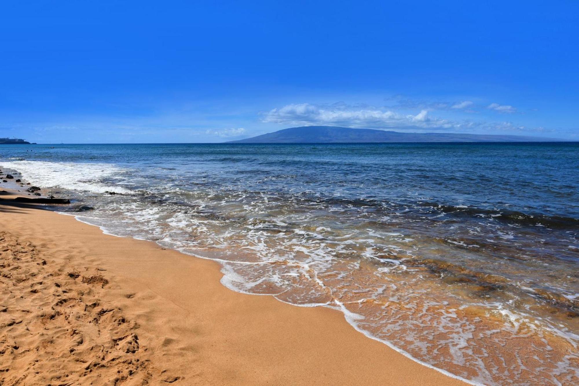 Maui Kai 108 · MK 108 Updated OceanFront 1BD wAC
