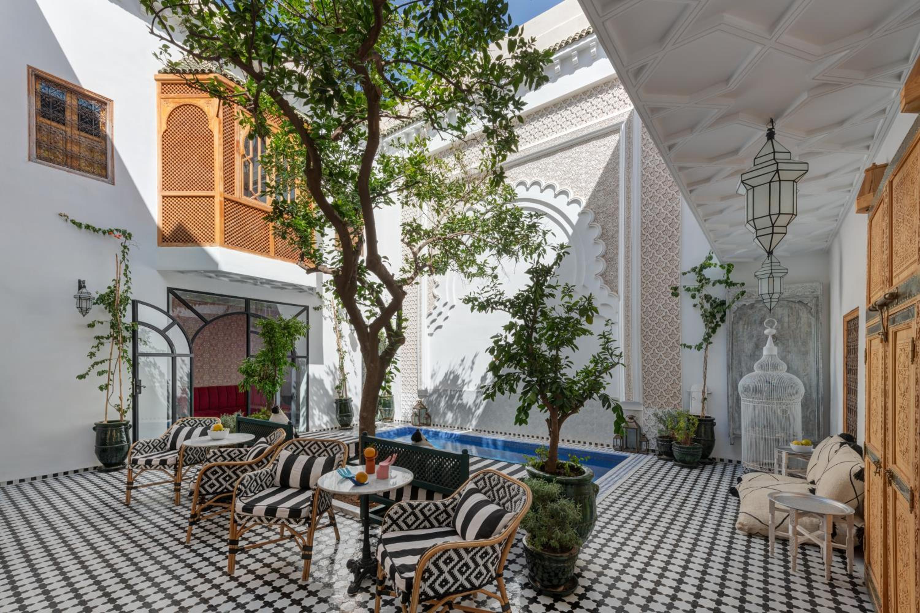 Riad Botanica view 4