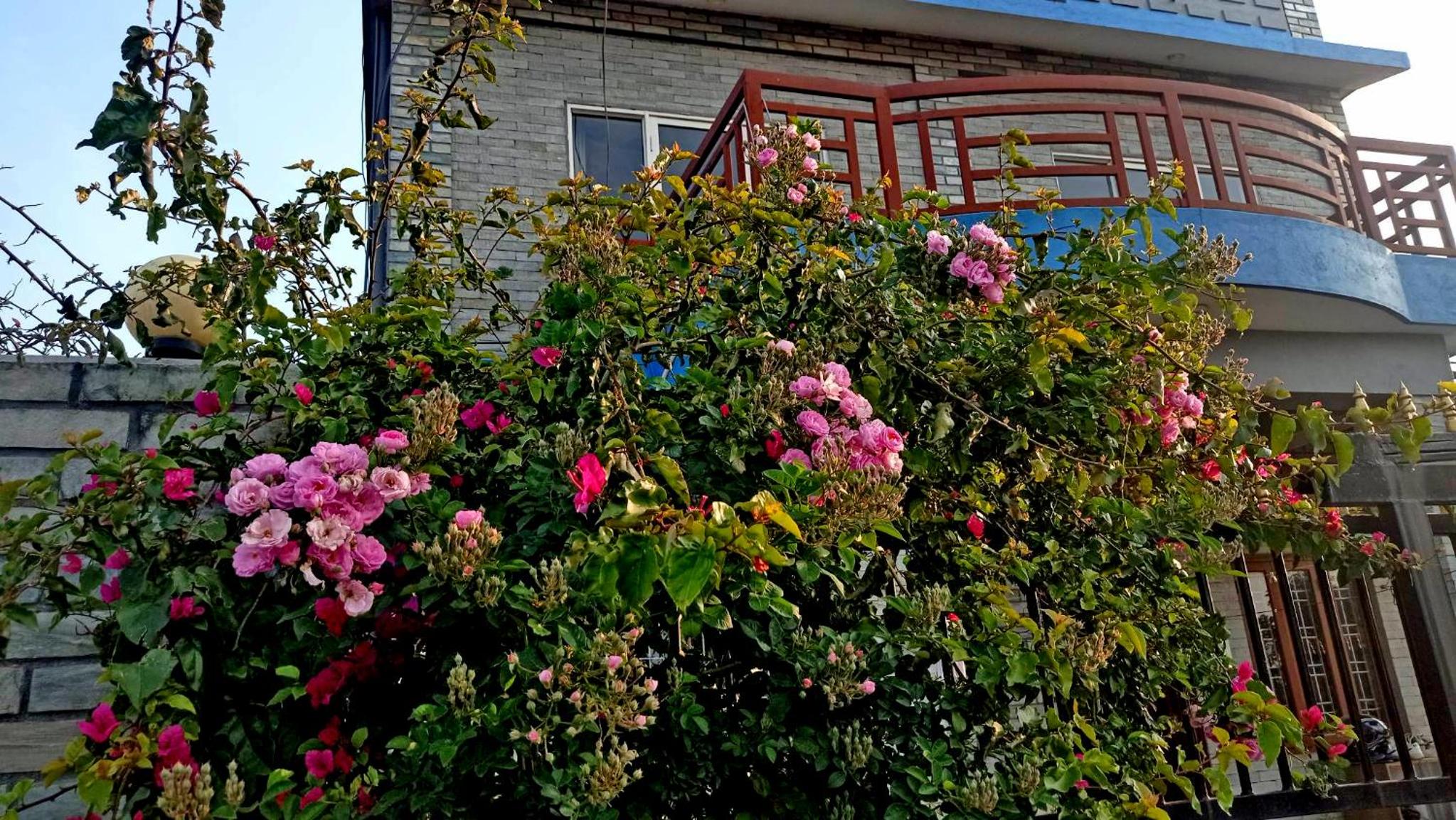 Photo 13